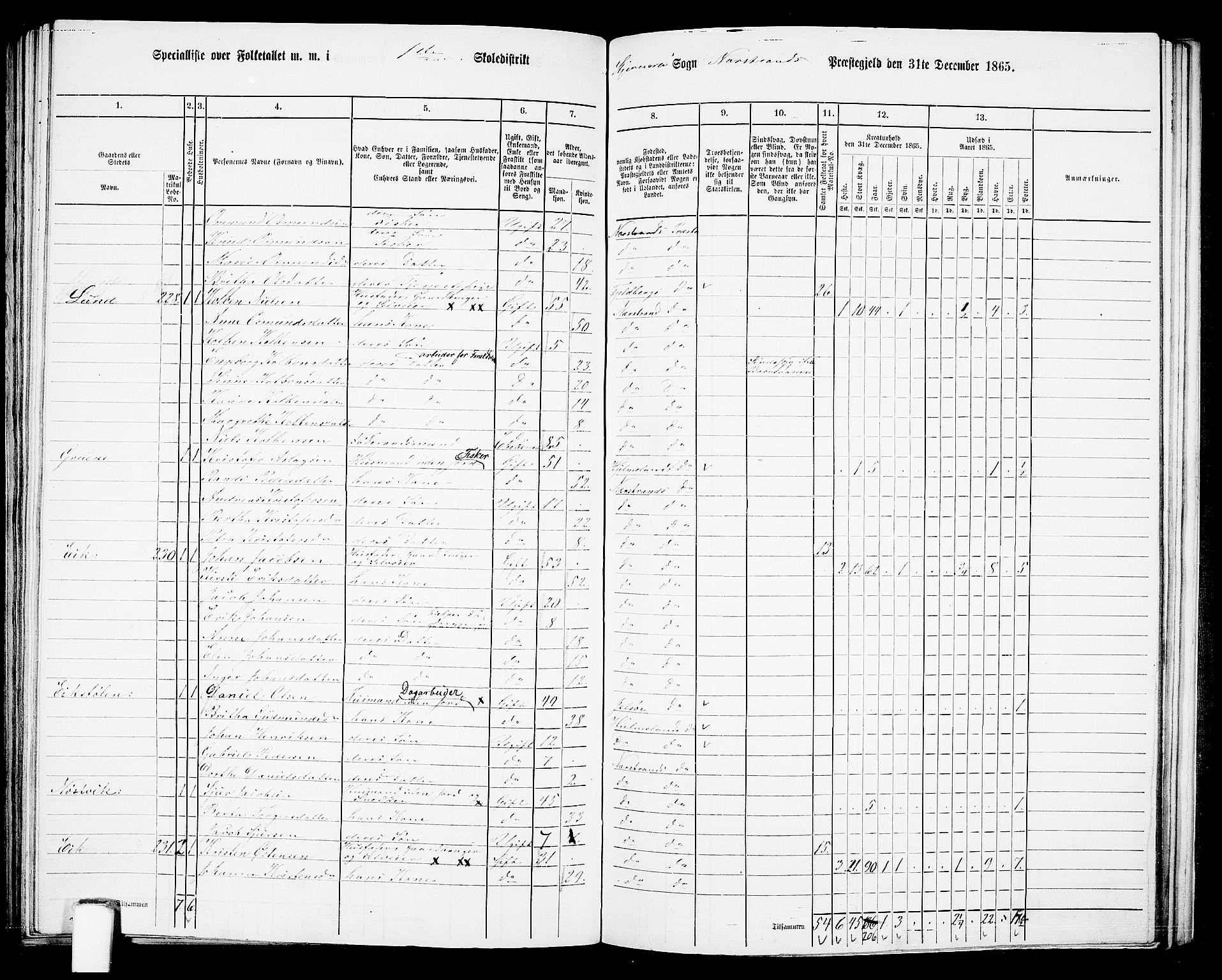 RA, 1865 census for Nedstrand, 1865, p. 87