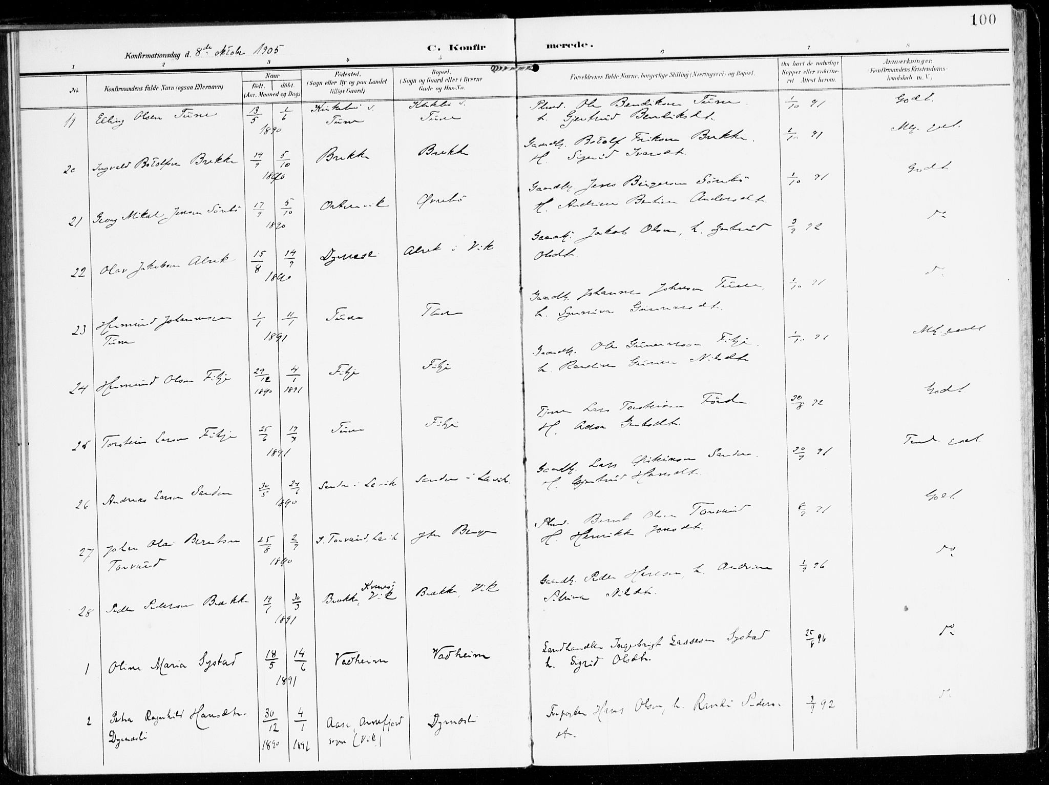 Lavik sokneprestembete, AV/SAB-A-80901: Parish register (official) no. C 2, 1904-1921, p. 100