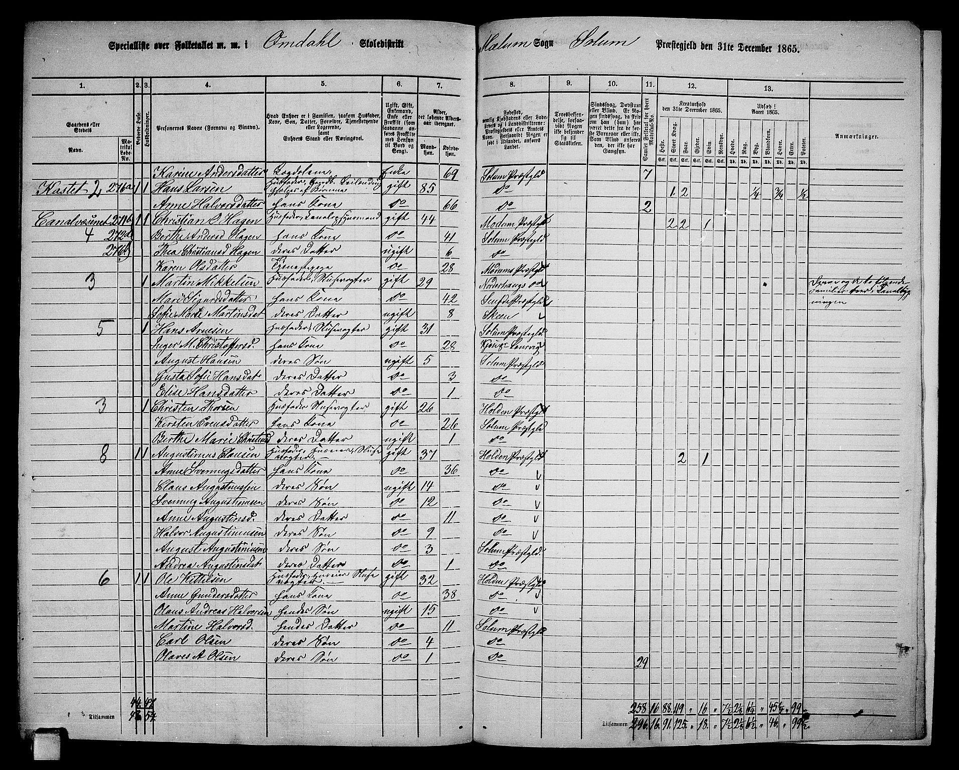 RA, 1865 census for Solum, 1865, p. 213