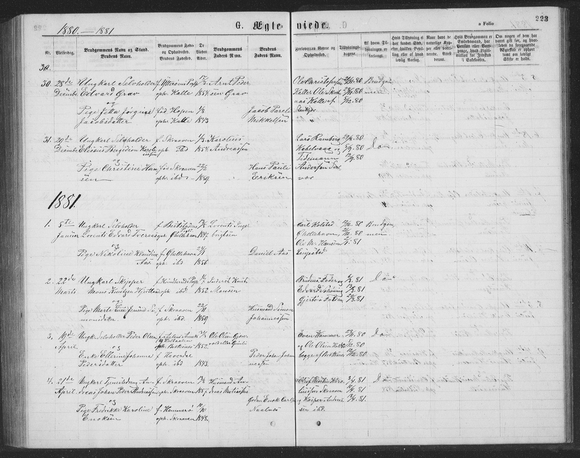 Ministerialprotokoller, klokkerbøker og fødselsregistre - Nordland, SAT/A-1459/874/L1075: Parish register (copy) no. 874C04, 1876-1883, p. 223