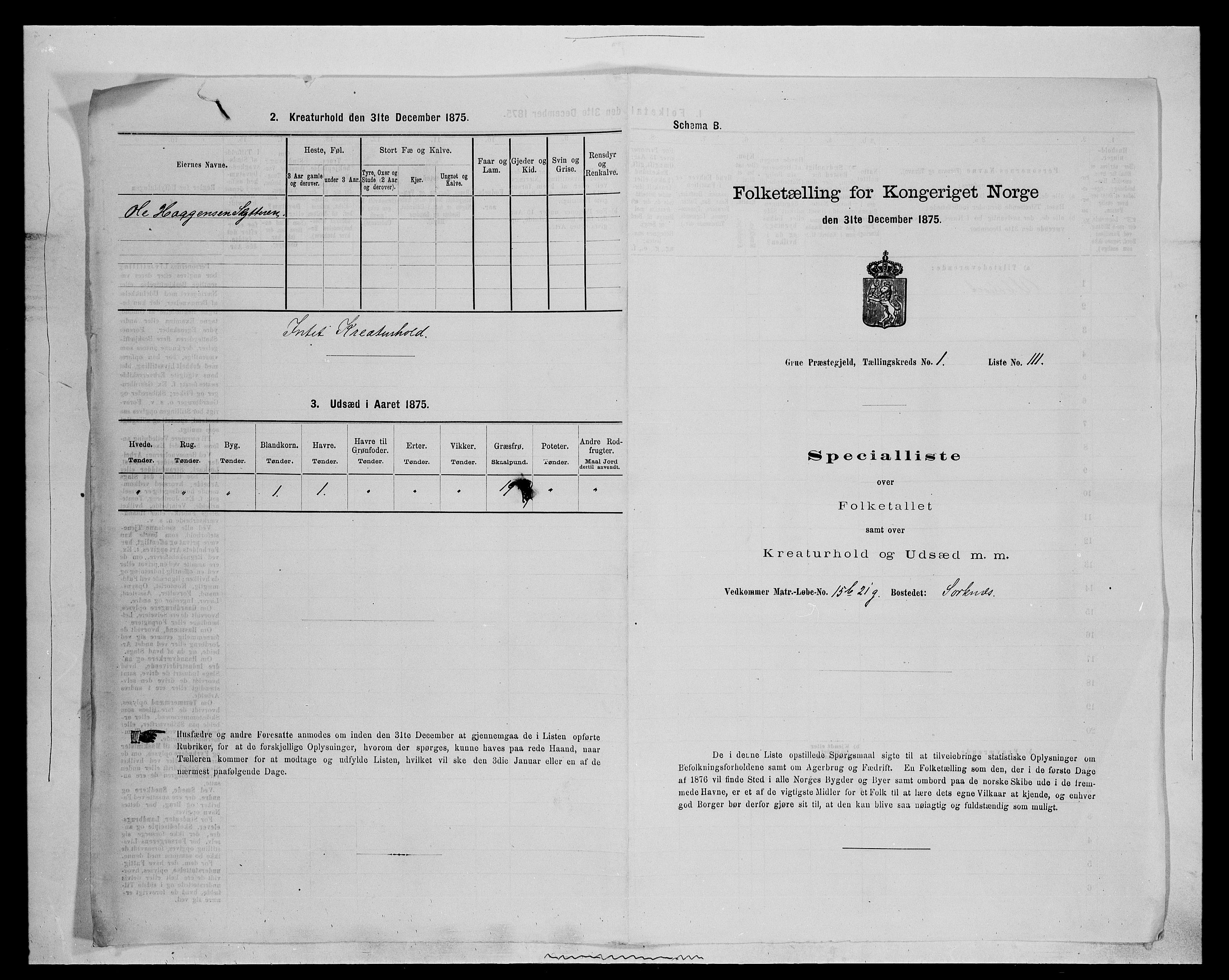 SAH, 1875 census for 0423P Grue, 1875, p. 373