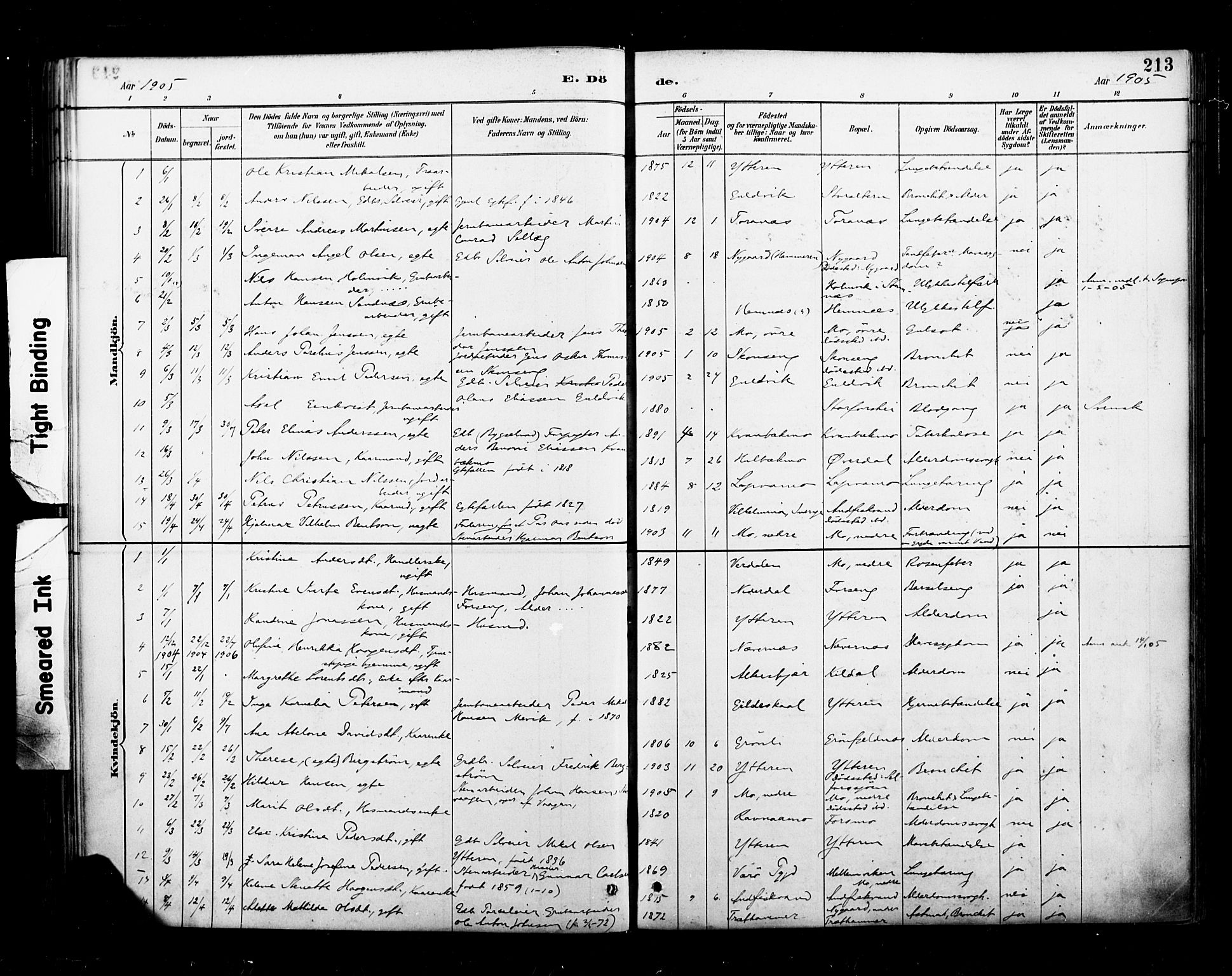 Ministerialprotokoller, klokkerbøker og fødselsregistre - Nordland, SAT/A-1459/827/L0401: Parish register (official) no. 827A13, 1887-1905, p. 213