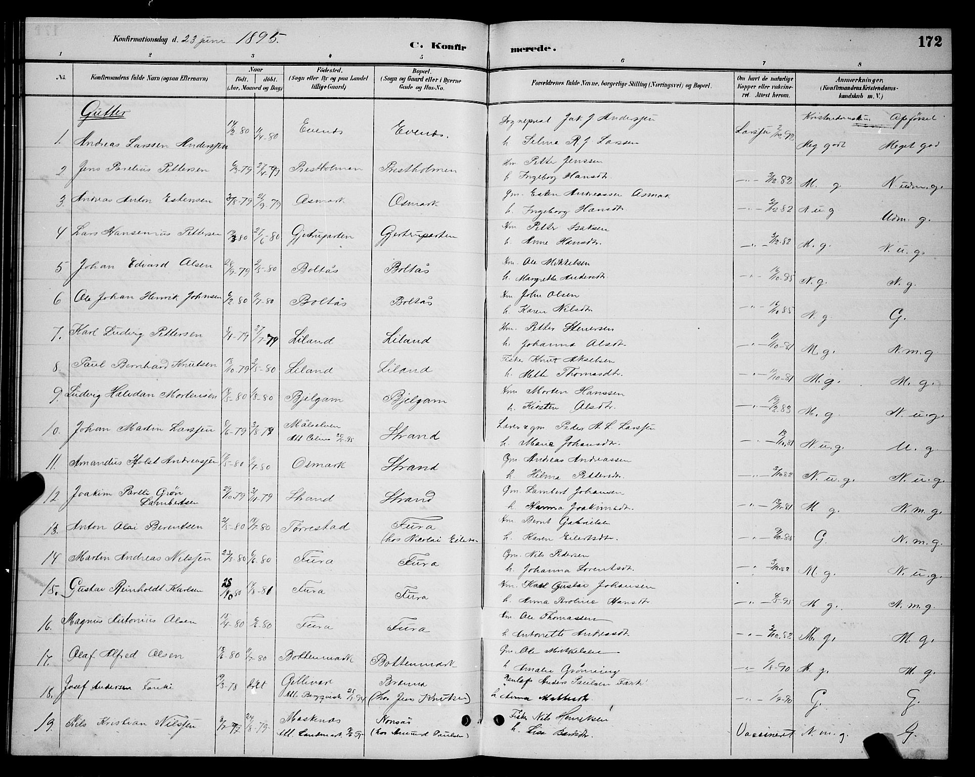 Ministerialprotokoller, klokkerbøker og fødselsregistre - Nordland, AV/SAT-A-1459/863/L0914: Parish register (copy) no. 863C04, 1886-1897, p. 172