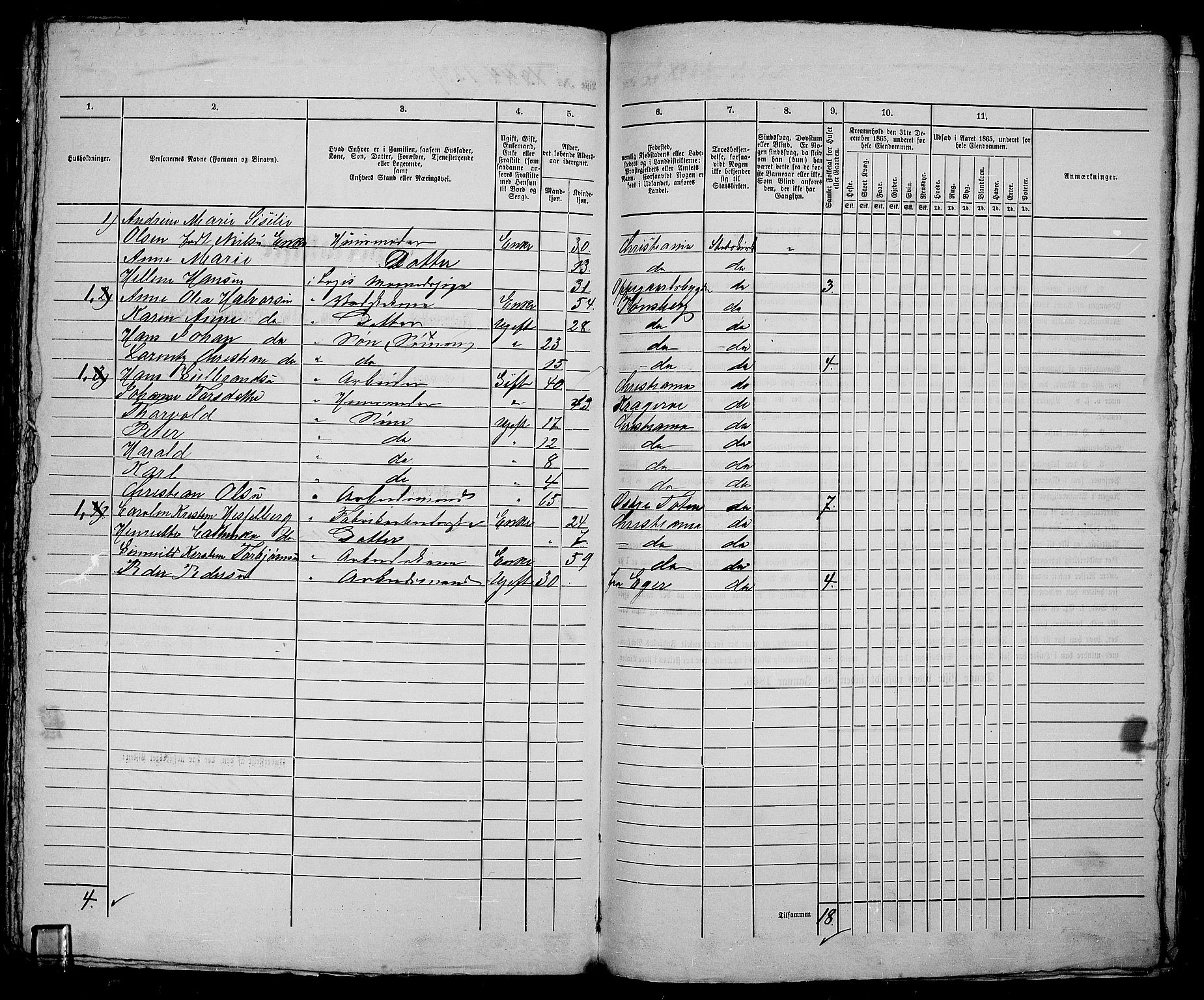 RA, 1865 census for Kristiania, 1865, p. 3030