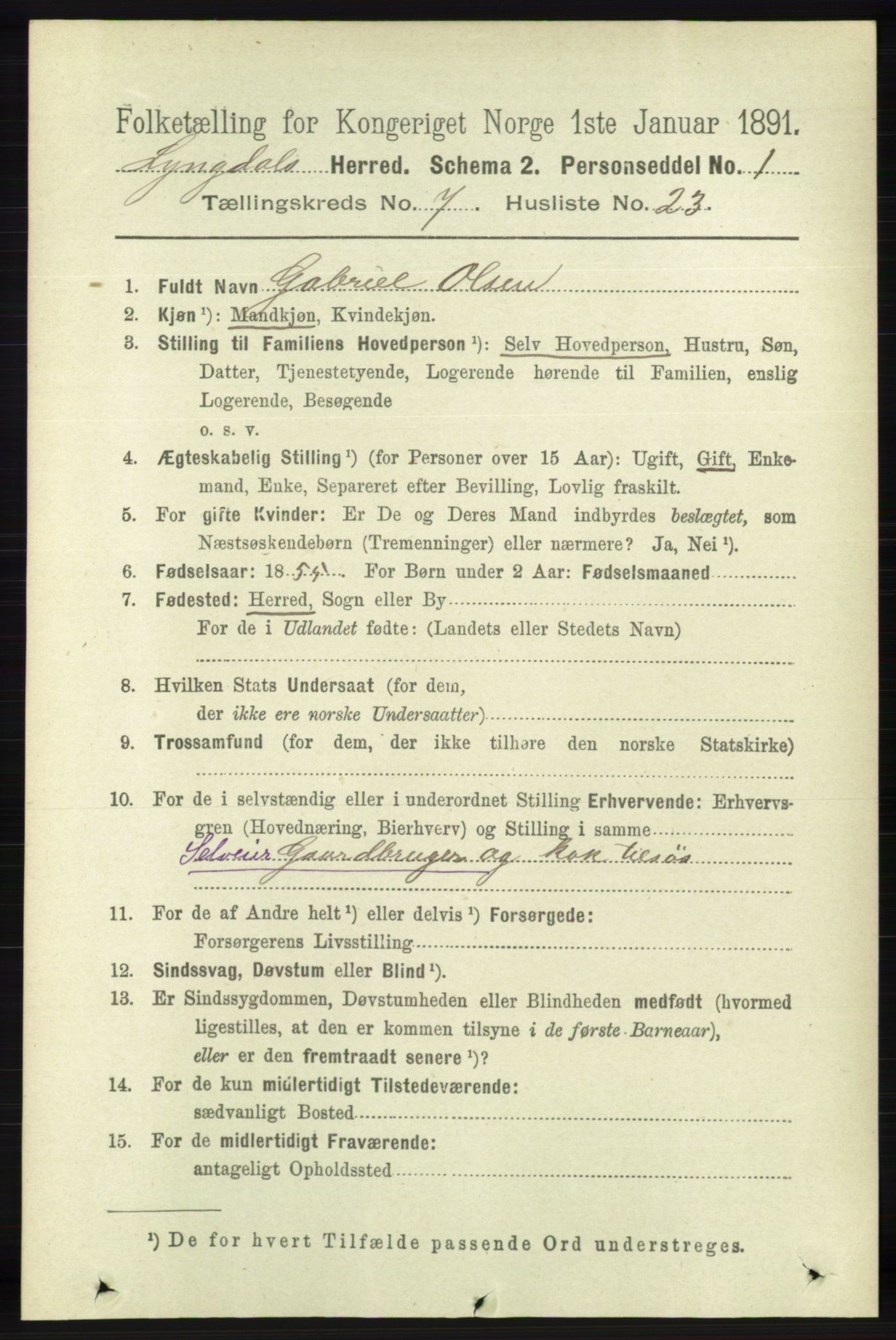 RA, 1891 census for 1032 Lyngdal, 1891, p. 3041