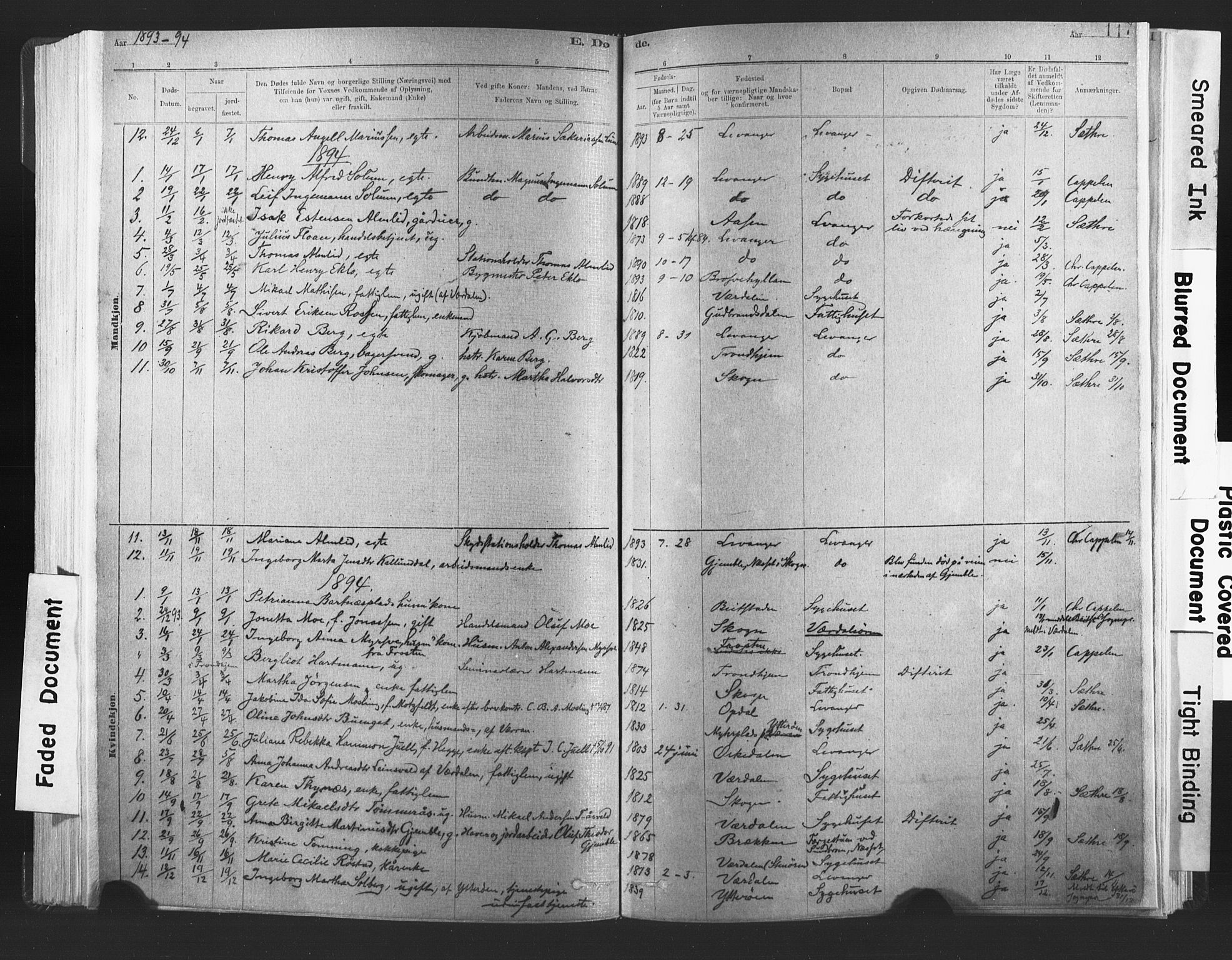 Ministerialprotokoller, klokkerbøker og fødselsregistre - Nord-Trøndelag, SAT/A-1458/720/L0189: Parish register (official) no. 720A05, 1880-1911, p. 117