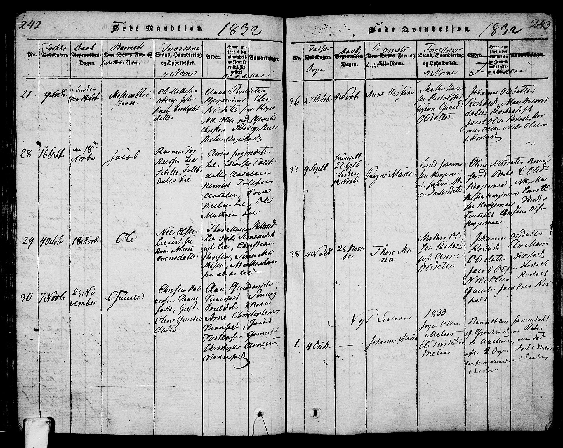 Lardal kirkebøker, AV/SAKO-A-350/F/Fa/L0005: Parish register (official) no. I 5, 1814-1835, p. 242-243