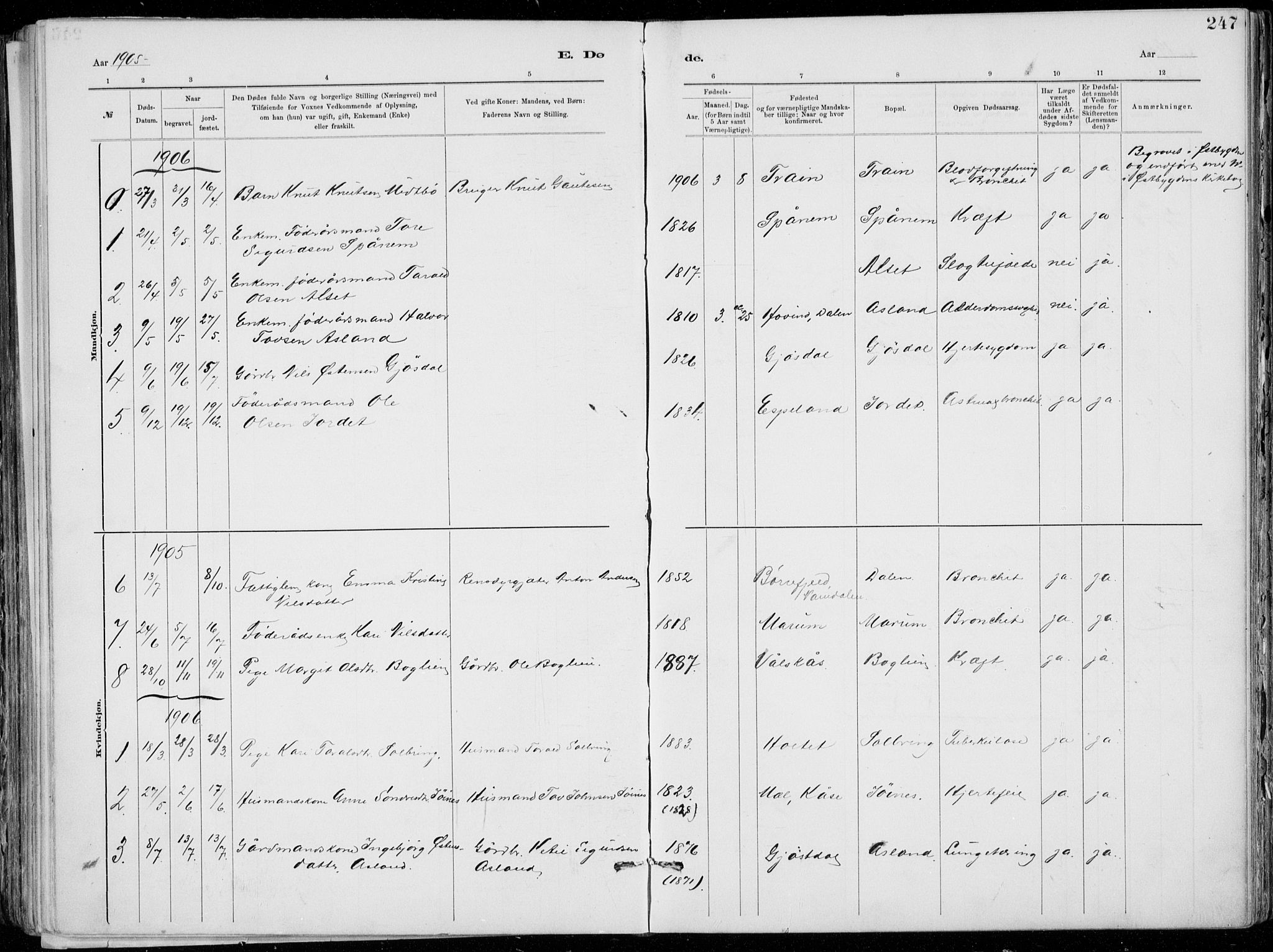 Tinn kirkebøker, AV/SAKO-A-308/F/Fa/L0007: Parish register (official) no. I 7, 1878-1922, p. 247