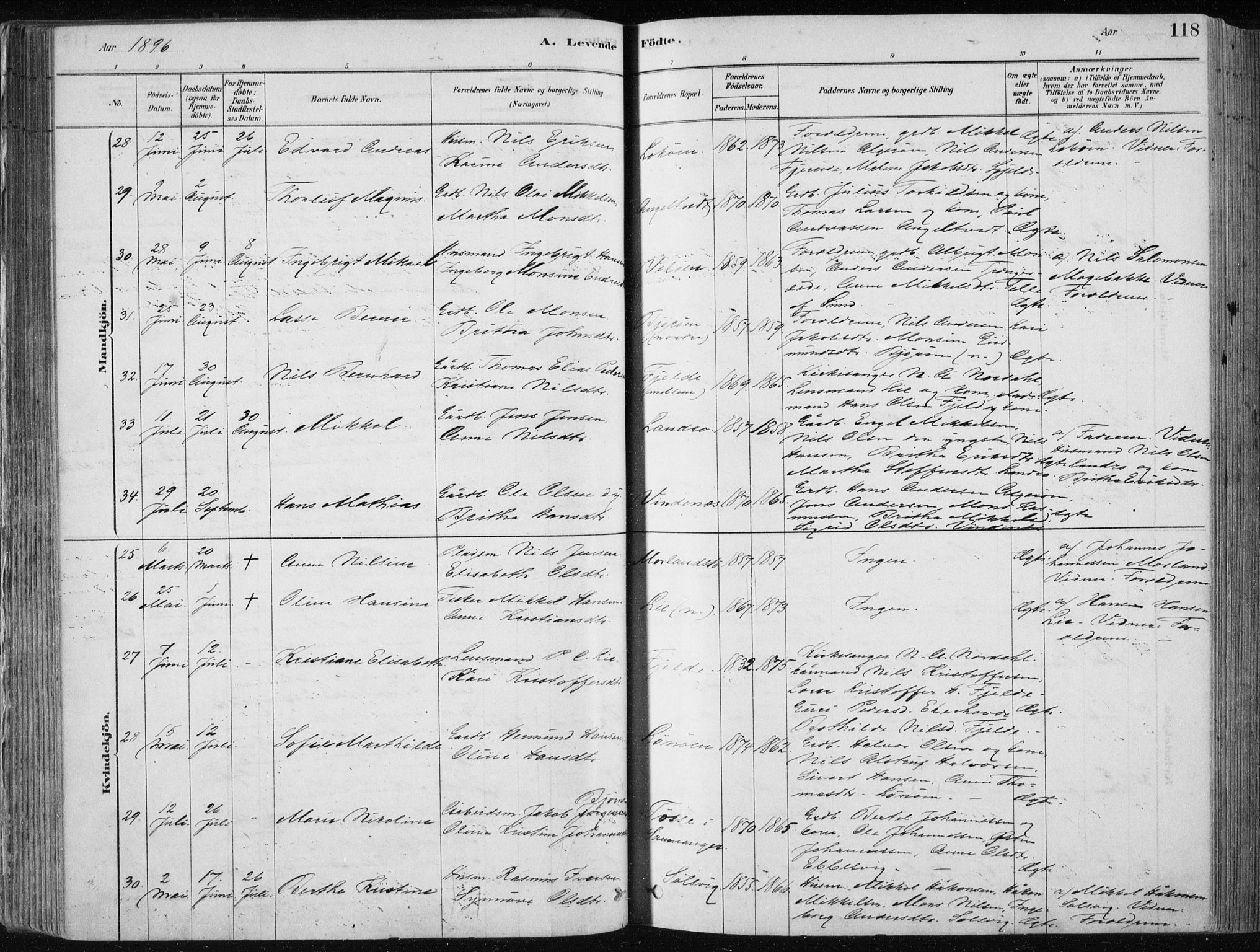 Fjell sokneprestembete, AV/SAB-A-75301/H/Haa: Parish register (official) no. A  8, 1878-1898, p. 118