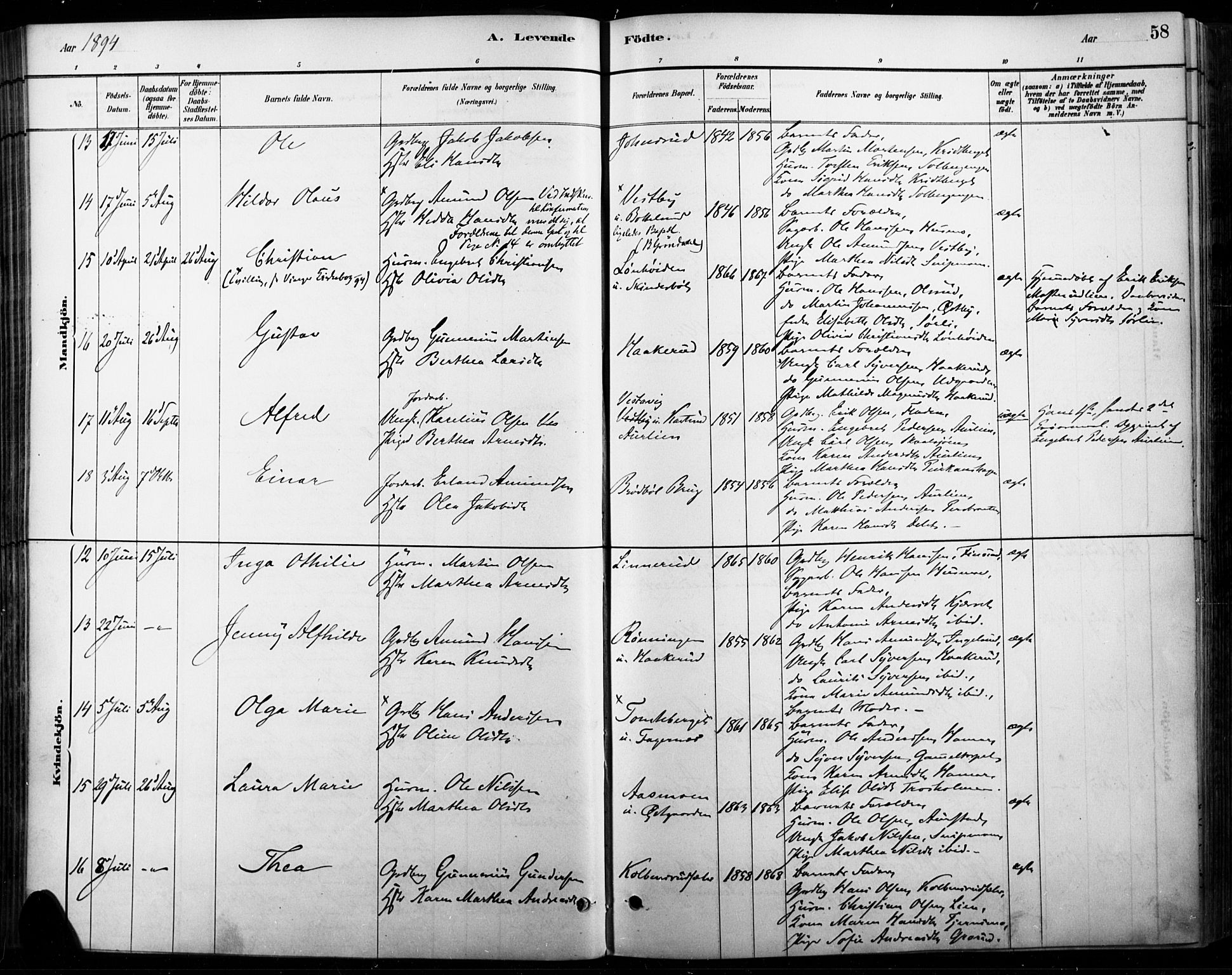 Vinger prestekontor, AV/SAH-PREST-024/H/Ha/Haa/L0015: Parish register (official) no. 15, 1881-1900, p. 58