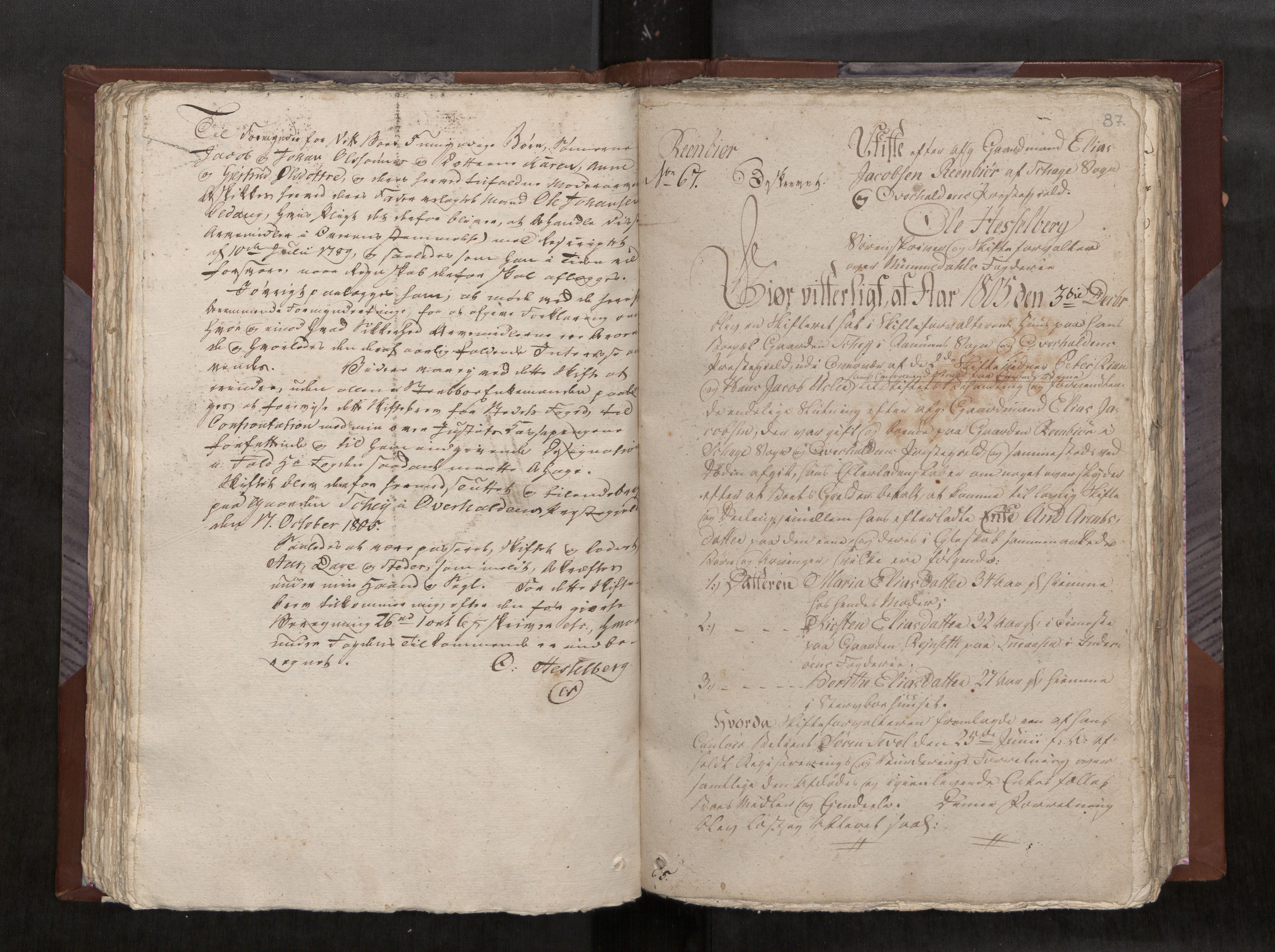 Namdal sorenskriveri, AV/SAT-A-4133/1/3/3A/L0034: Skifteprotokoll nr. 24, 1810-1813, p. 87