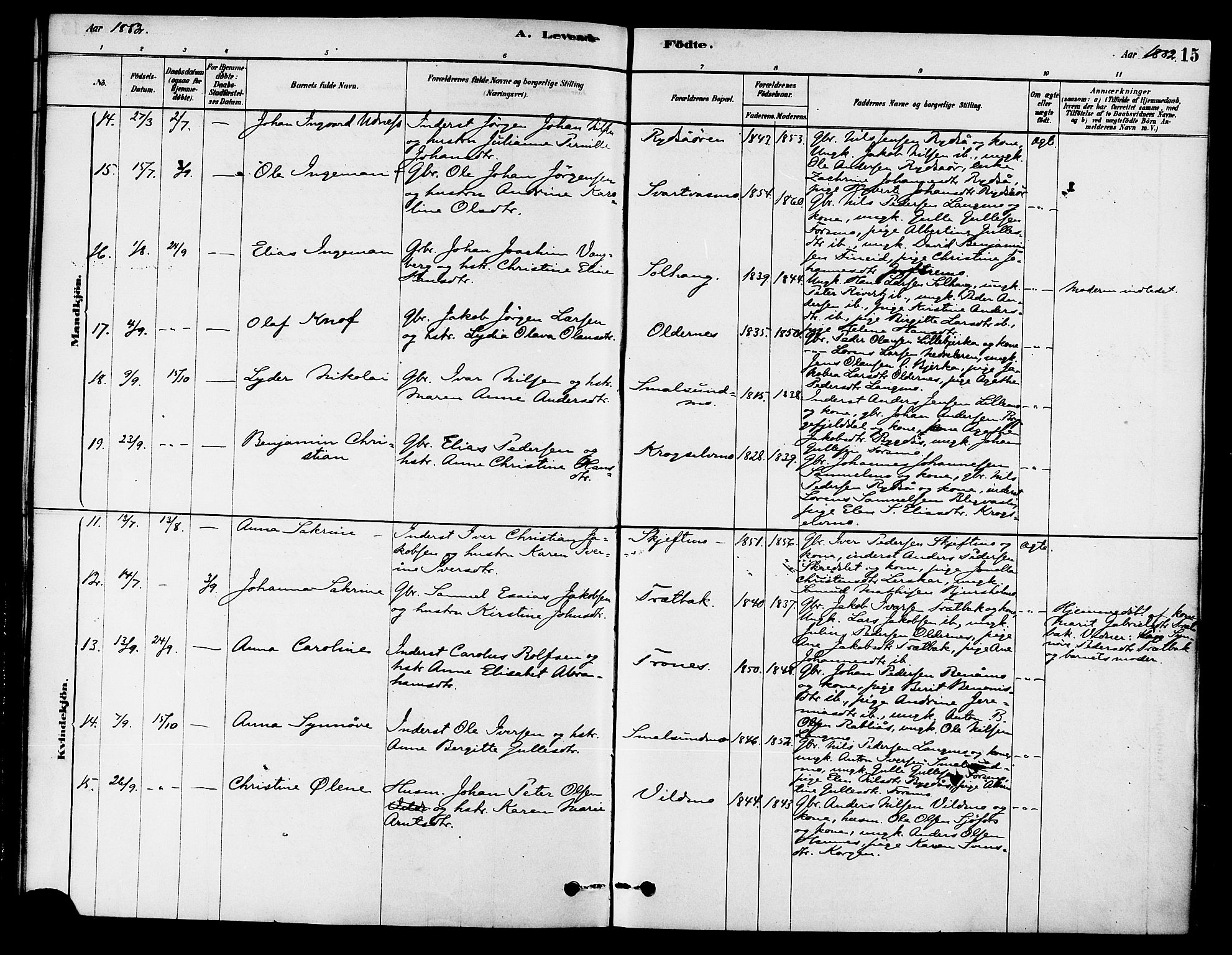 Ministerialprotokoller, klokkerbøker og fødselsregistre - Nordland, AV/SAT-A-1459/826/L0379: Parish register (official) no. 826A02, 1878-1895, p. 15