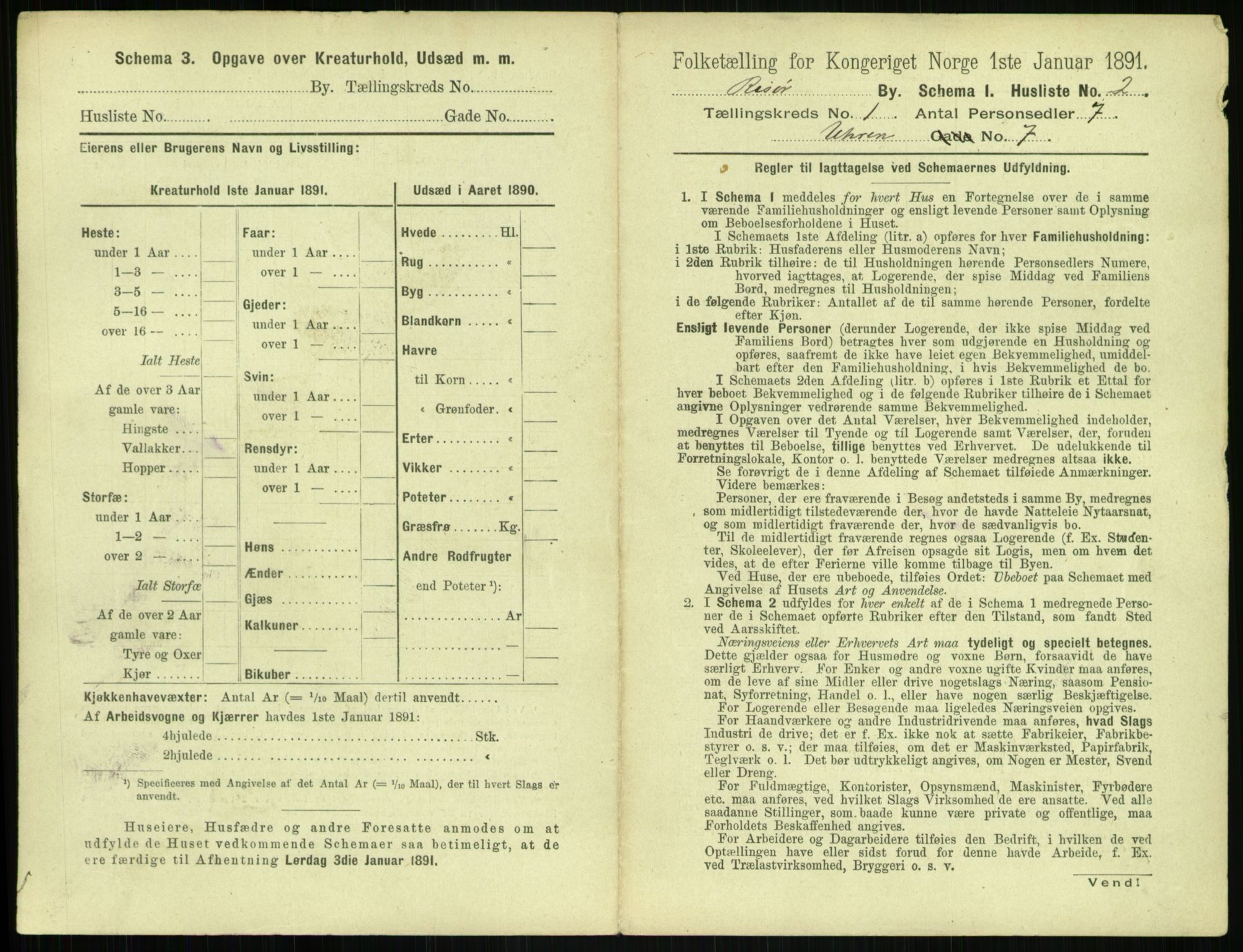 RA, 1891 census for 0901 Risør, 1891, p. 25