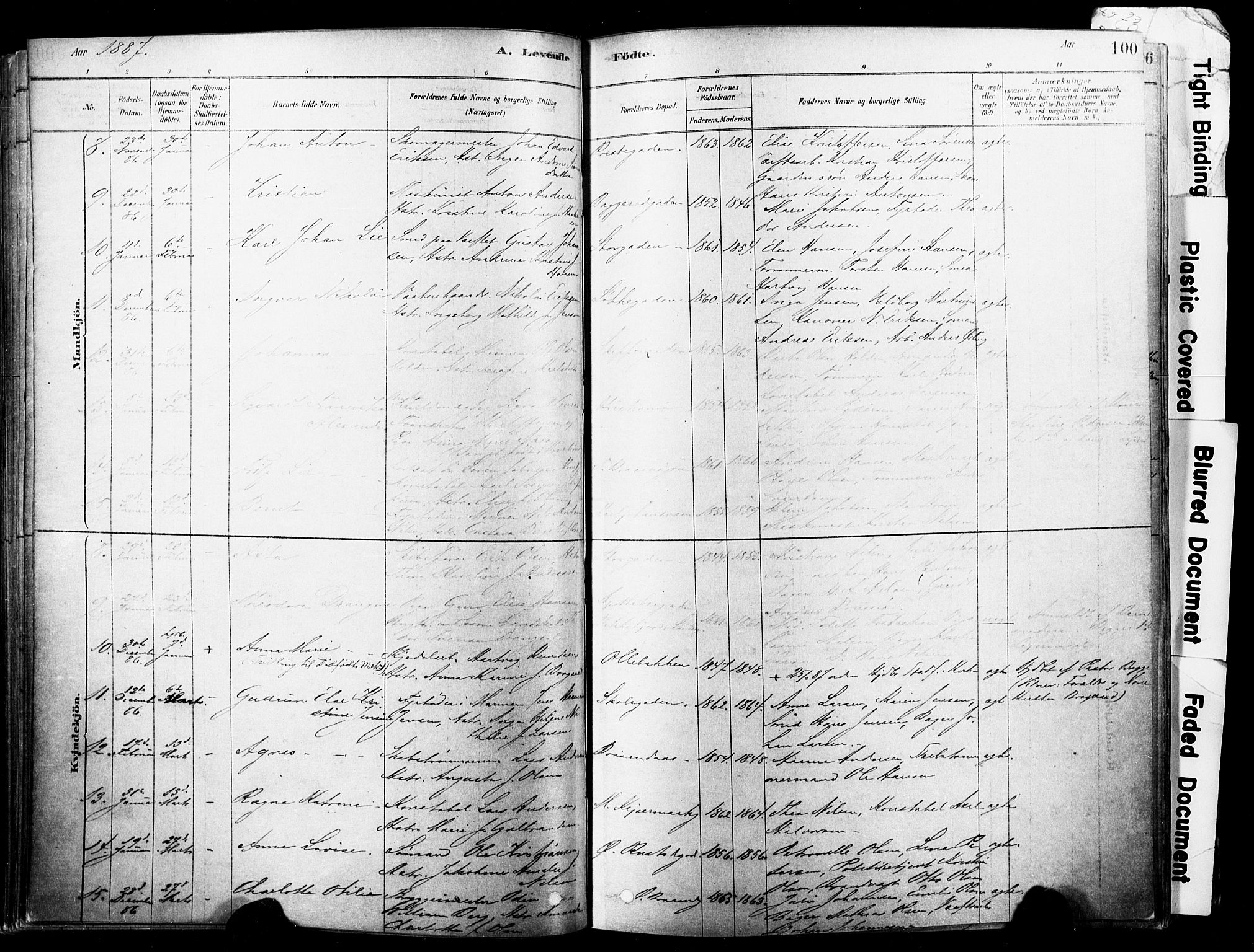 Horten kirkebøker, AV/SAKO-A-348/F/Fa/L0003: Parish register (official) no. 3, 1878-1887, p. 100