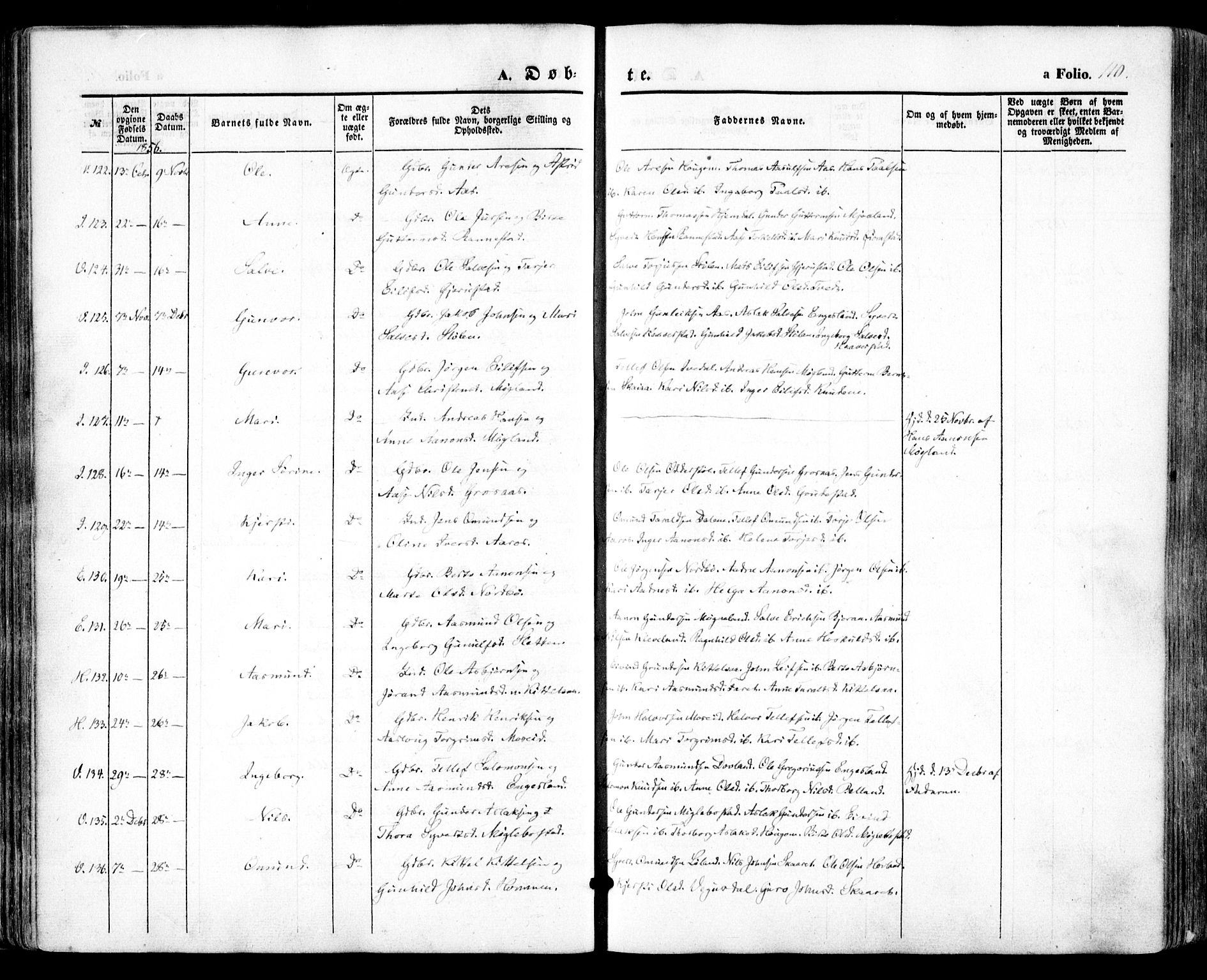 Evje sokneprestkontor, AV/SAK-1111-0008/F/Fa/Faa/L0005: Parish register (official) no. A 5, 1843-1865, p. 110