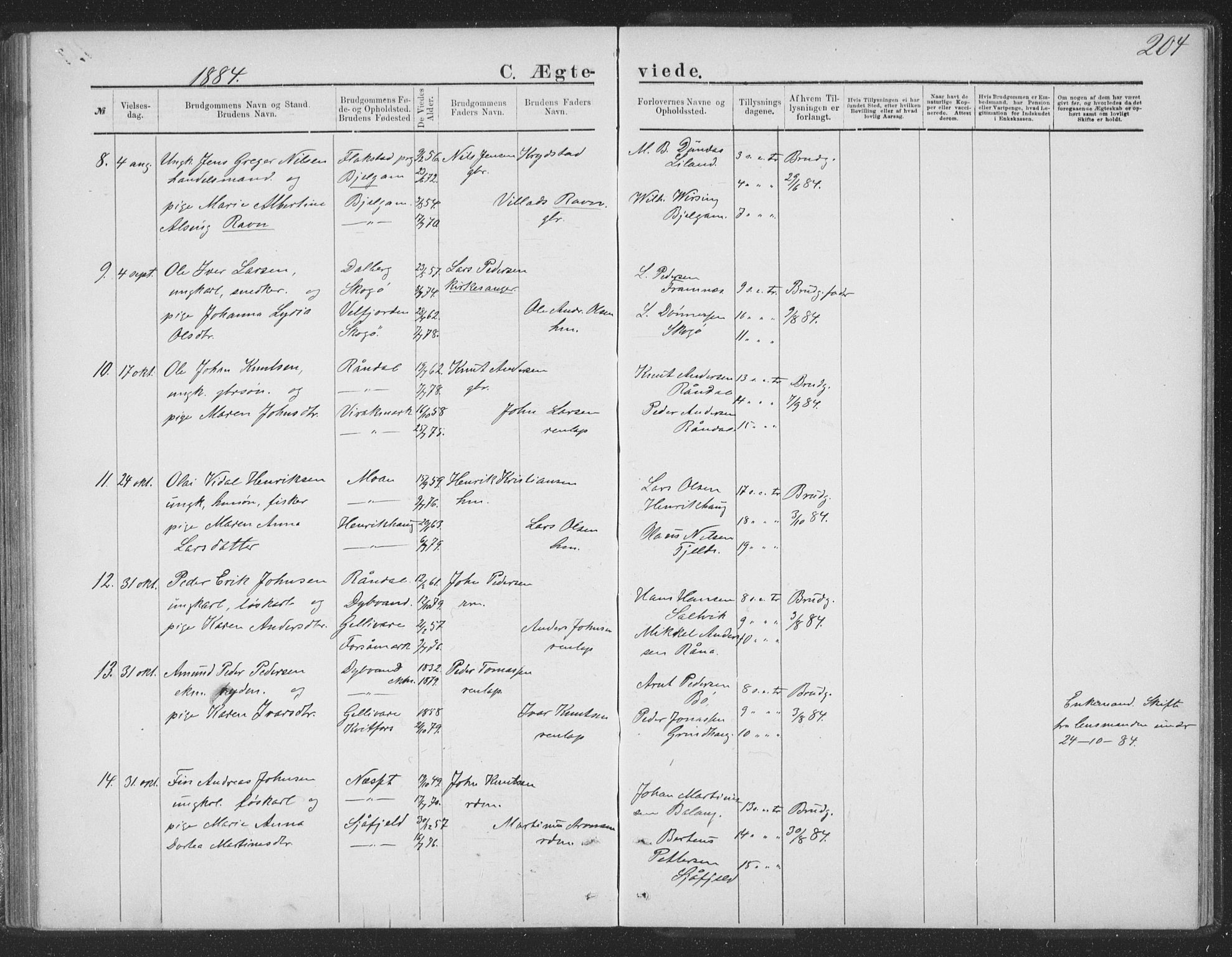 Ministerialprotokoller, klokkerbøker og fødselsregistre - Nordland, SAT/A-1459/863/L0913: Parish register (copy) no. 863C03, 1877-1885, p. 204