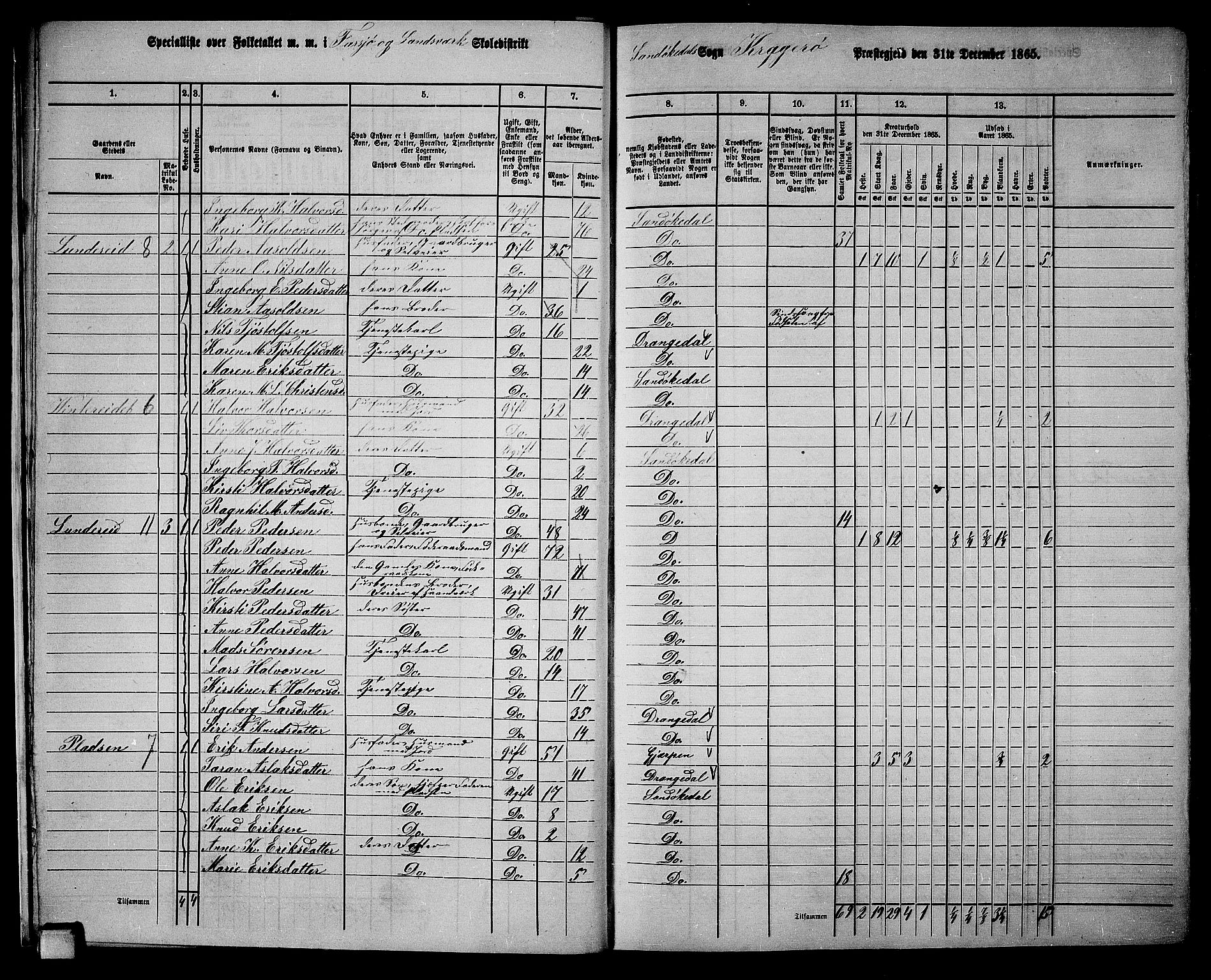 RA, 1865 census for Kragerø/Sannidal og Skåtøy, 1865, p. 14