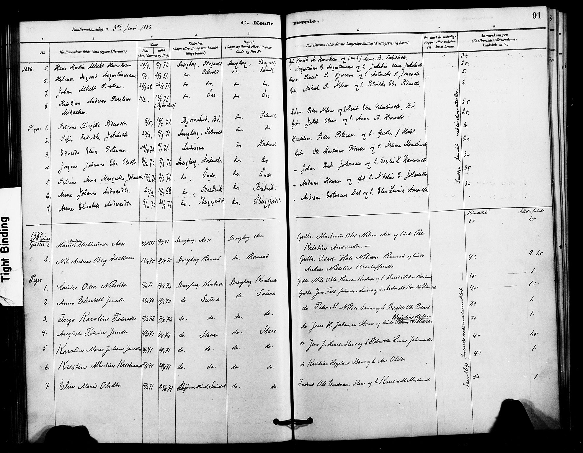 Ministerialprotokoller, klokkerbøker og fødselsregistre - Nordland, AV/SAT-A-1459/897/L1399: Parish register (official) no. 897C06, 1881-1896, p. 91