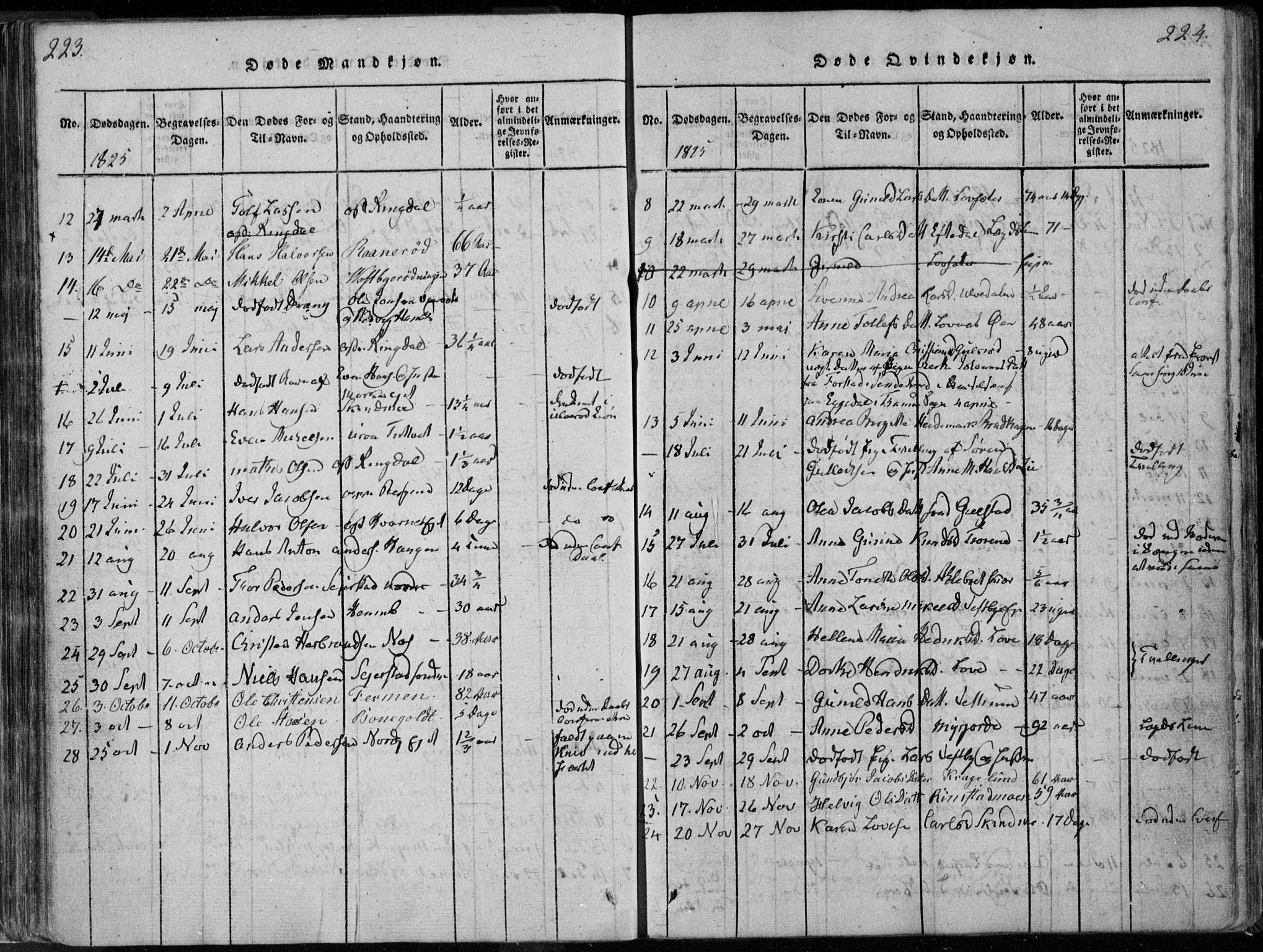 Hedrum kirkebøker, AV/SAKO-A-344/F/Fa/L0004: Parish register (official) no. I 4, 1817-1835, p. 223-224