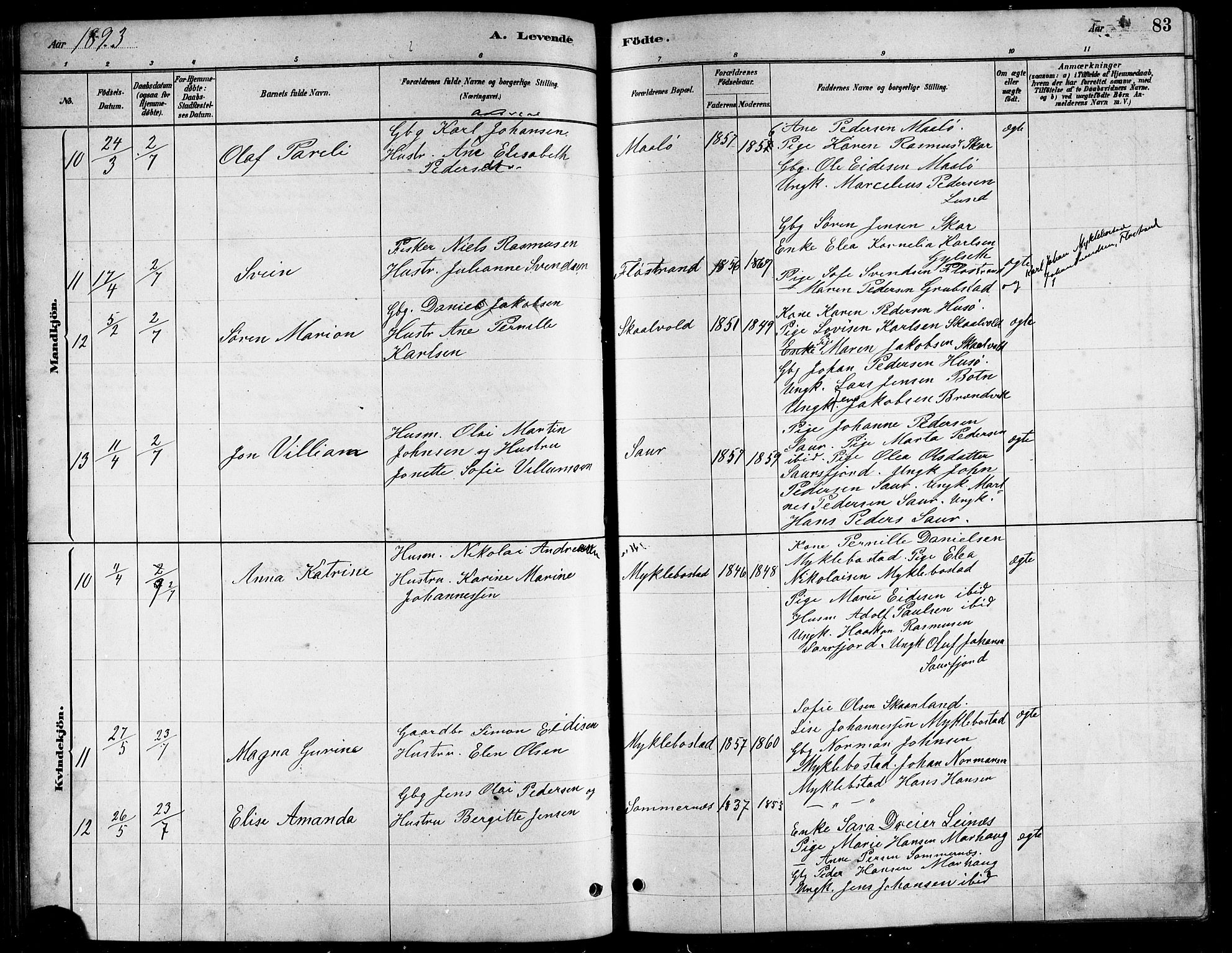 Ministerialprotokoller, klokkerbøker og fødselsregistre - Nordland, AV/SAT-A-1459/857/L0828: Parish register (copy) no. 857C03, 1879-1908, p. 83