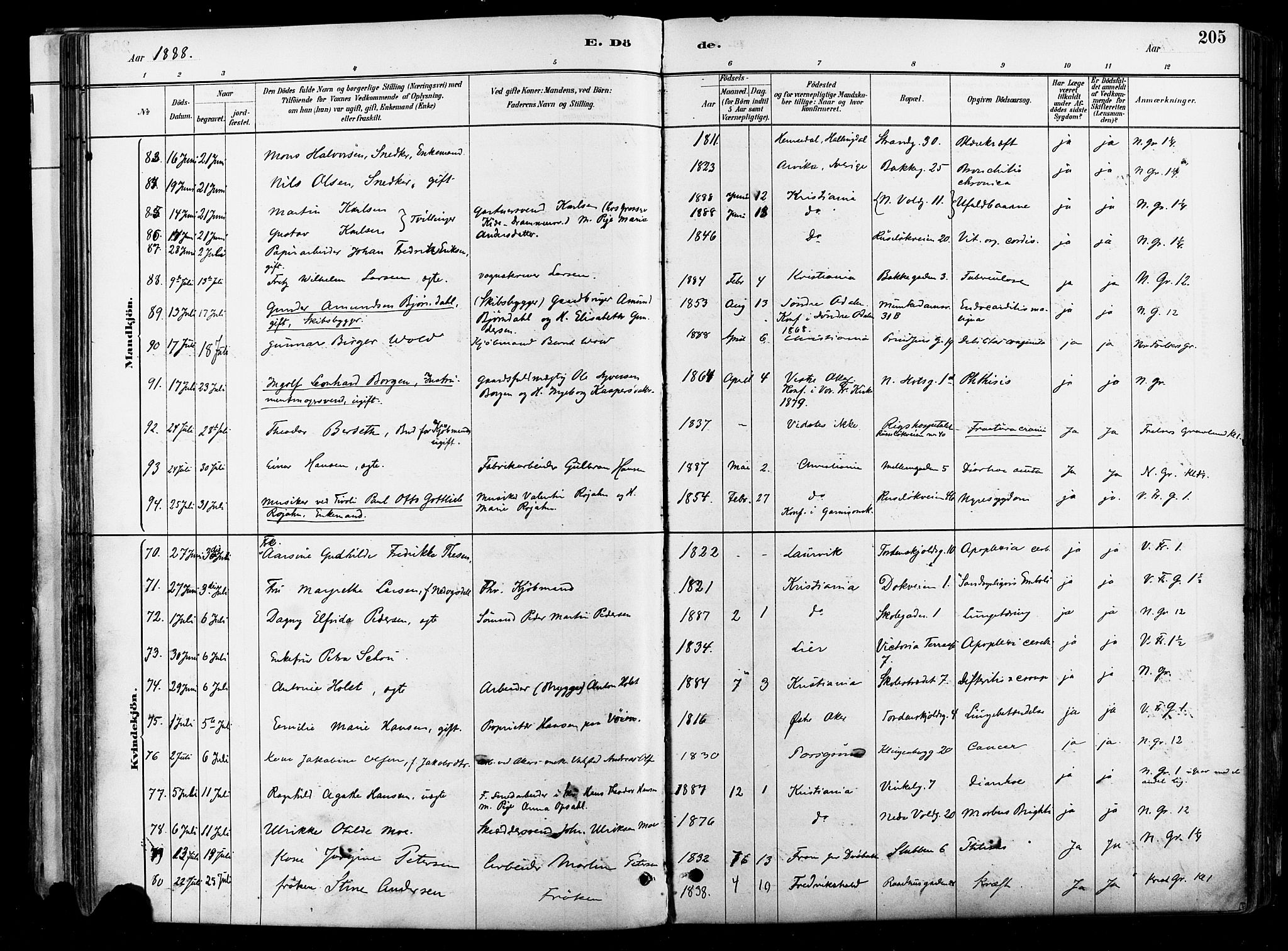 Johannes prestekontor Kirkebøker, AV/SAO-A-10852/F/Fa/L0004: Parish register (official) no. 4, 1883-1907, p. 205