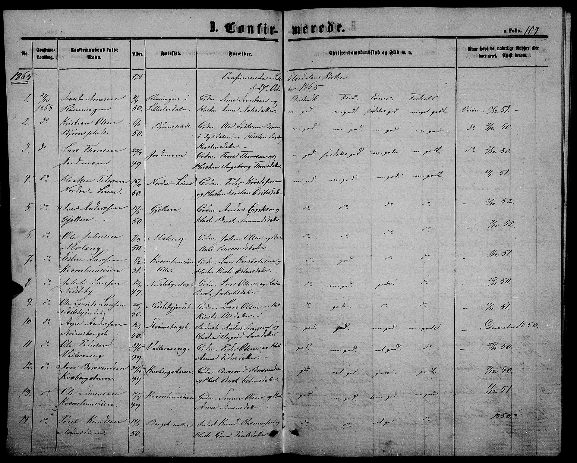 Alvdal prestekontor, AV/SAH-PREST-060/H/Ha/Hab/L0002: Parish register (copy) no. 2, 1863-1878, p. 107
