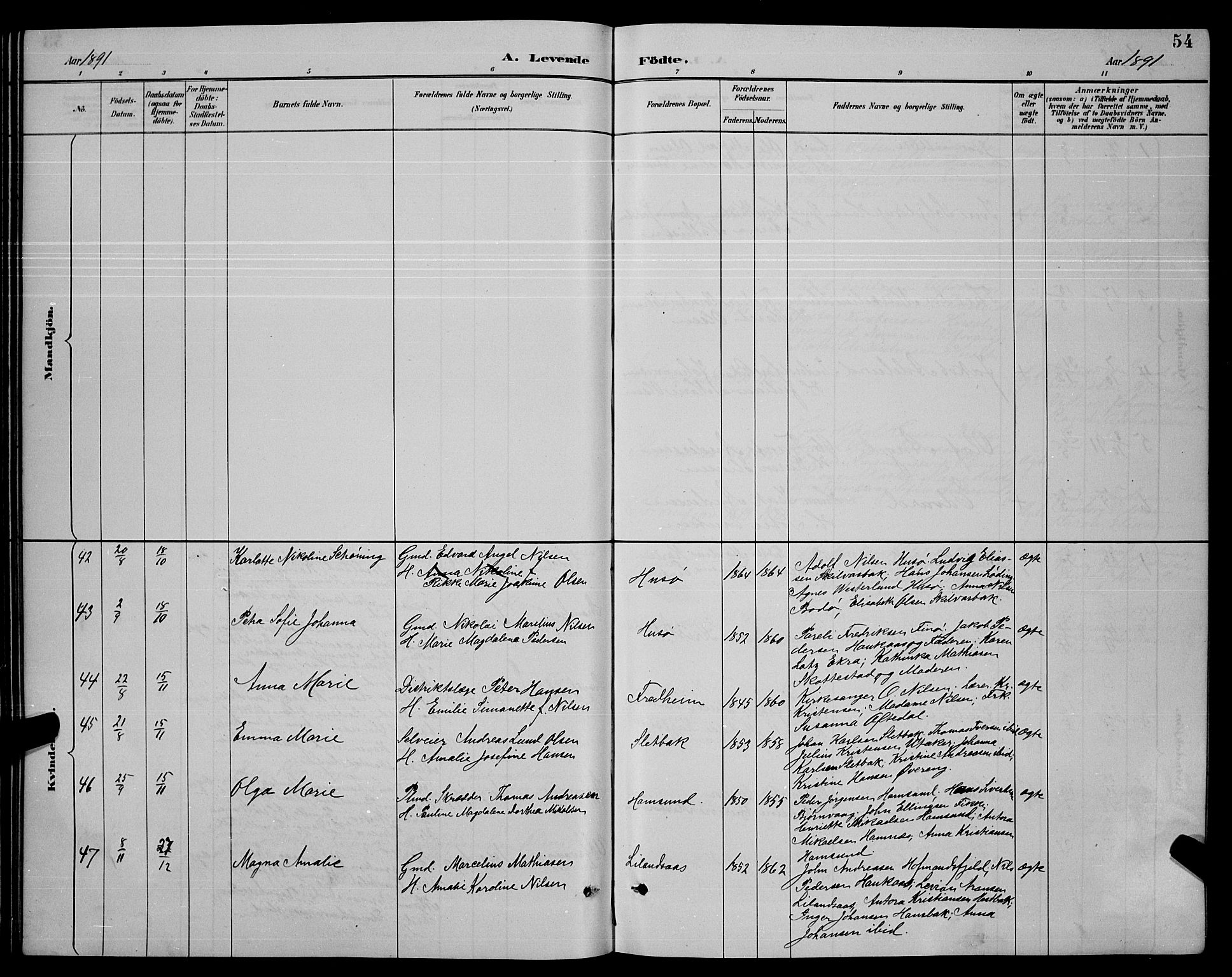 Ministerialprotokoller, klokkerbøker og fødselsregistre - Nordland, SAT/A-1459/859/L0859: Parish register (copy) no. 859C05, 1887-1898, p. 54