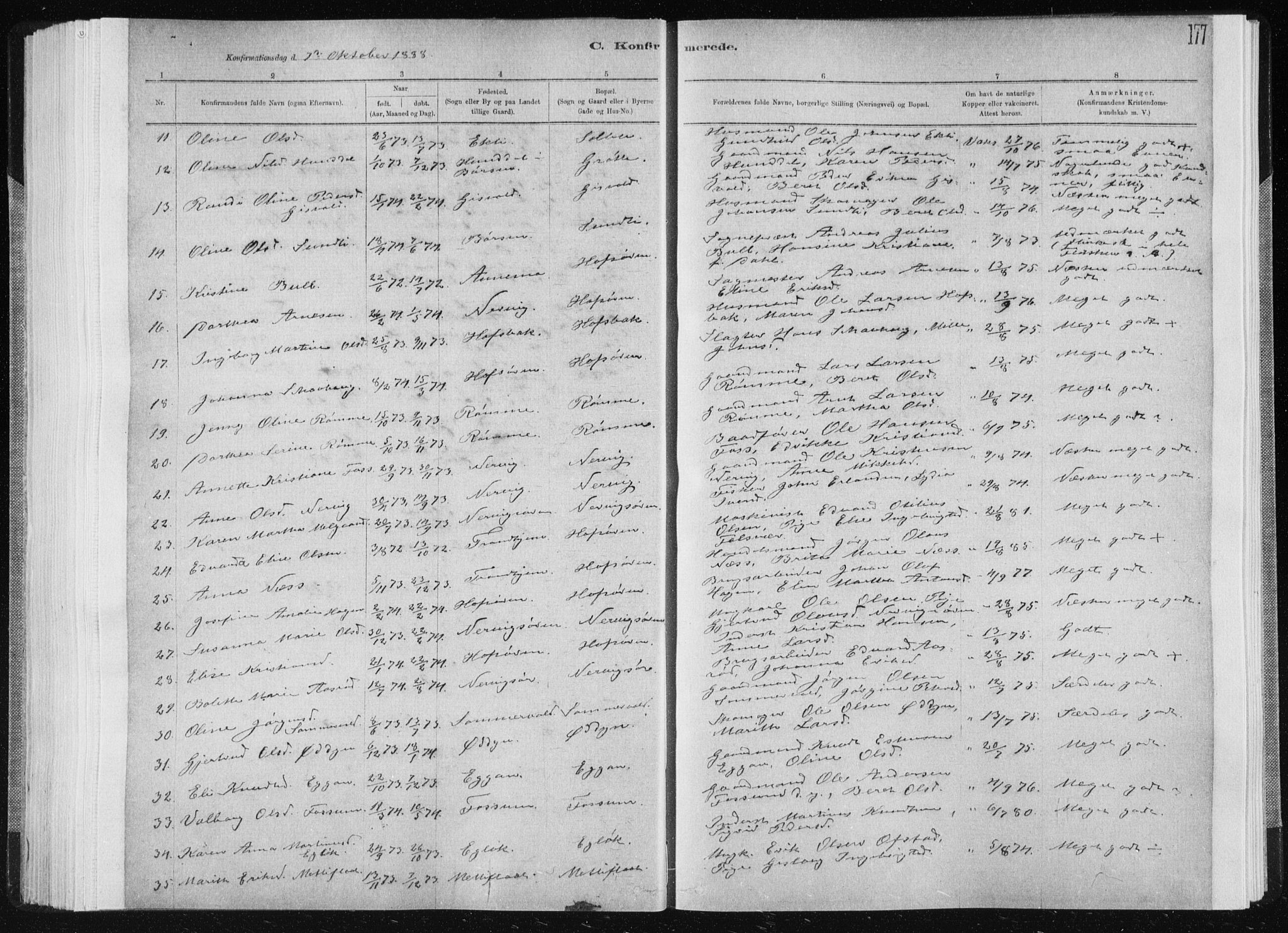 Ministerialprotokoller, klokkerbøker og fødselsregistre - Sør-Trøndelag, AV/SAT-A-1456/668/L0818: Parish register (copy) no. 668C07, 1885-1898, p. 177