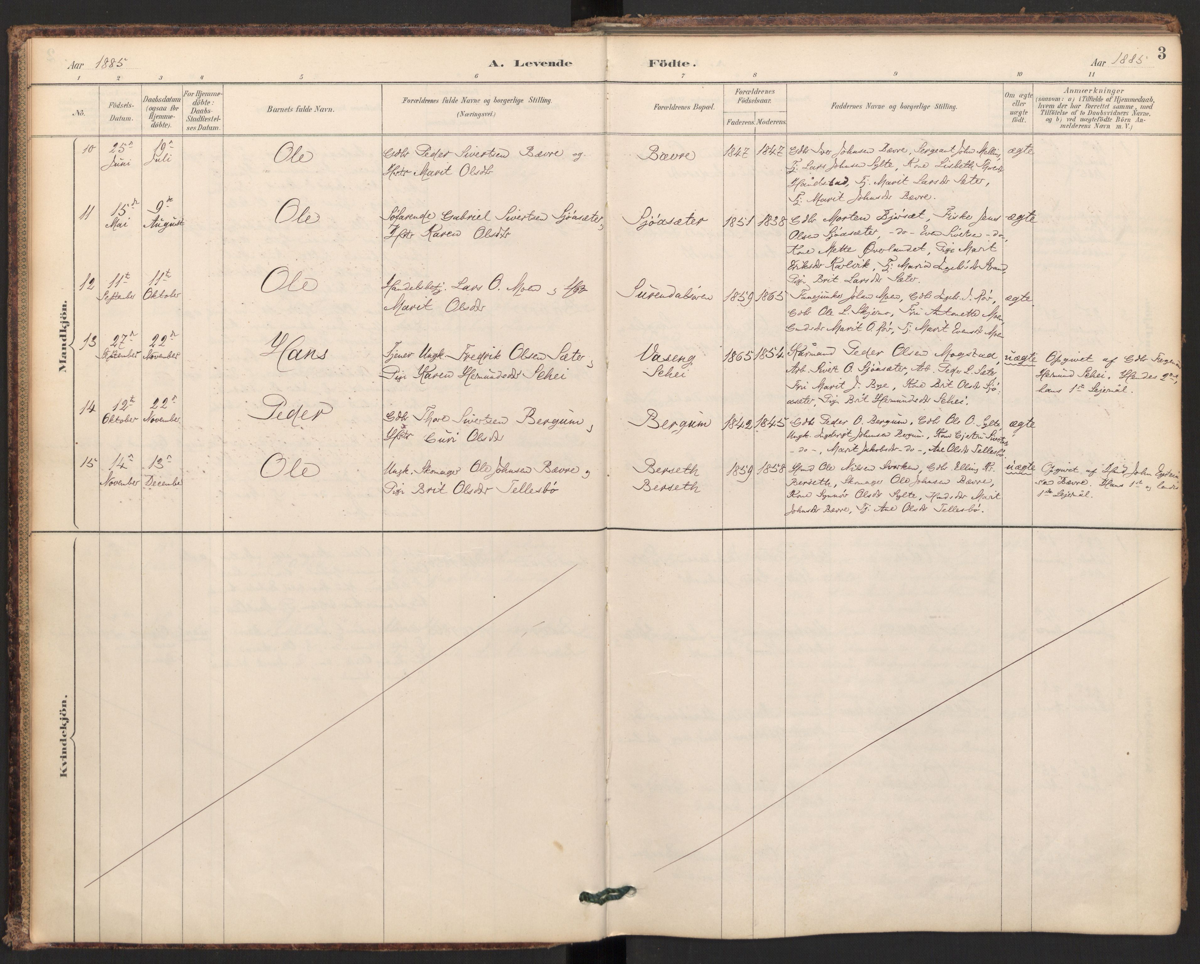 Ministerialprotokoller, klokkerbøker og fødselsregistre - Møre og Romsdal, AV/SAT-A-1454/595/L1047: Parish register (official) no. 595A09, 1885-1900, p. 3