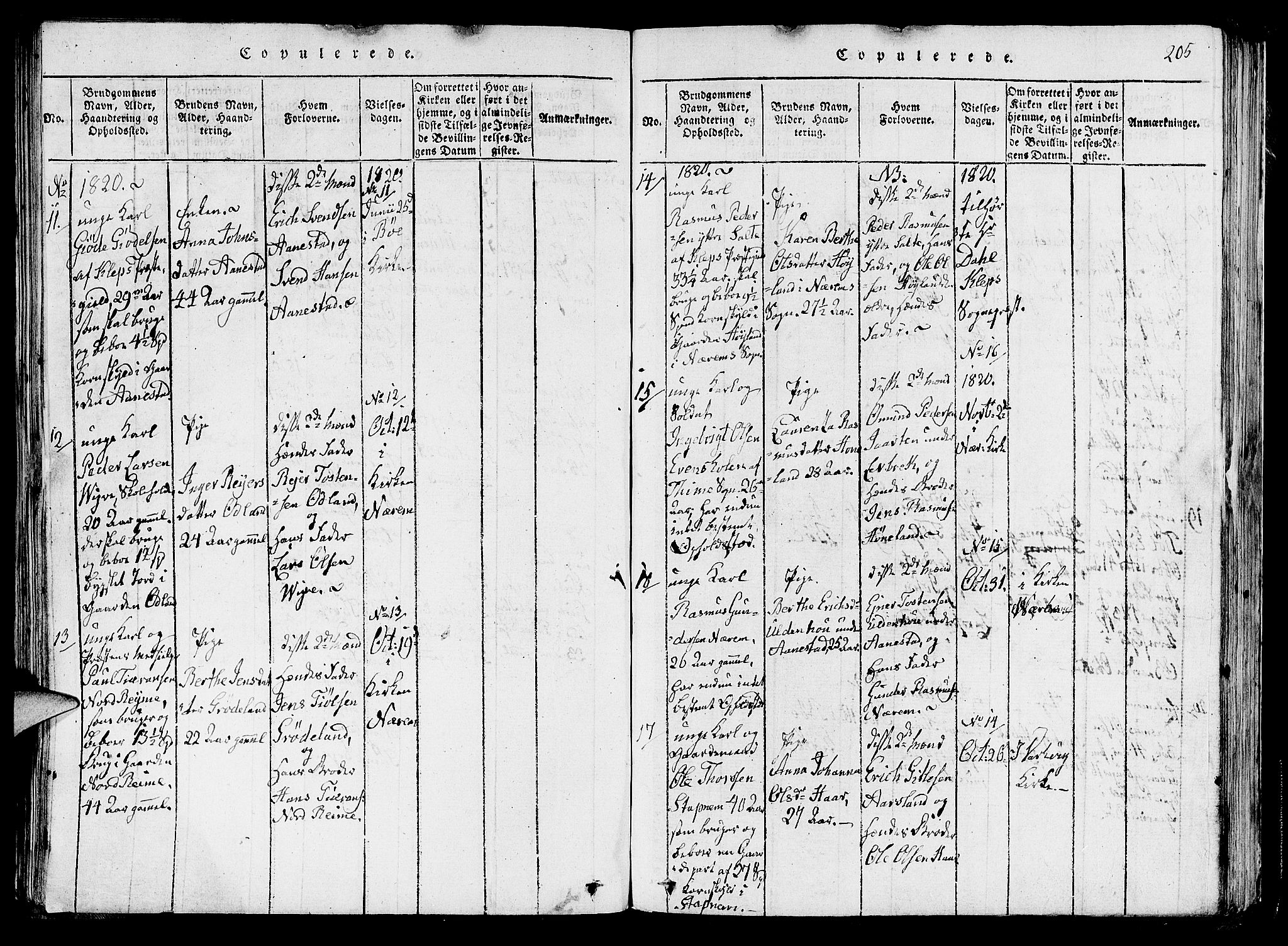 Hå sokneprestkontor, AV/SAST-A-101801/001/30BA/L0003: Parish register (official) no. A 3, 1815-1825, p. 205