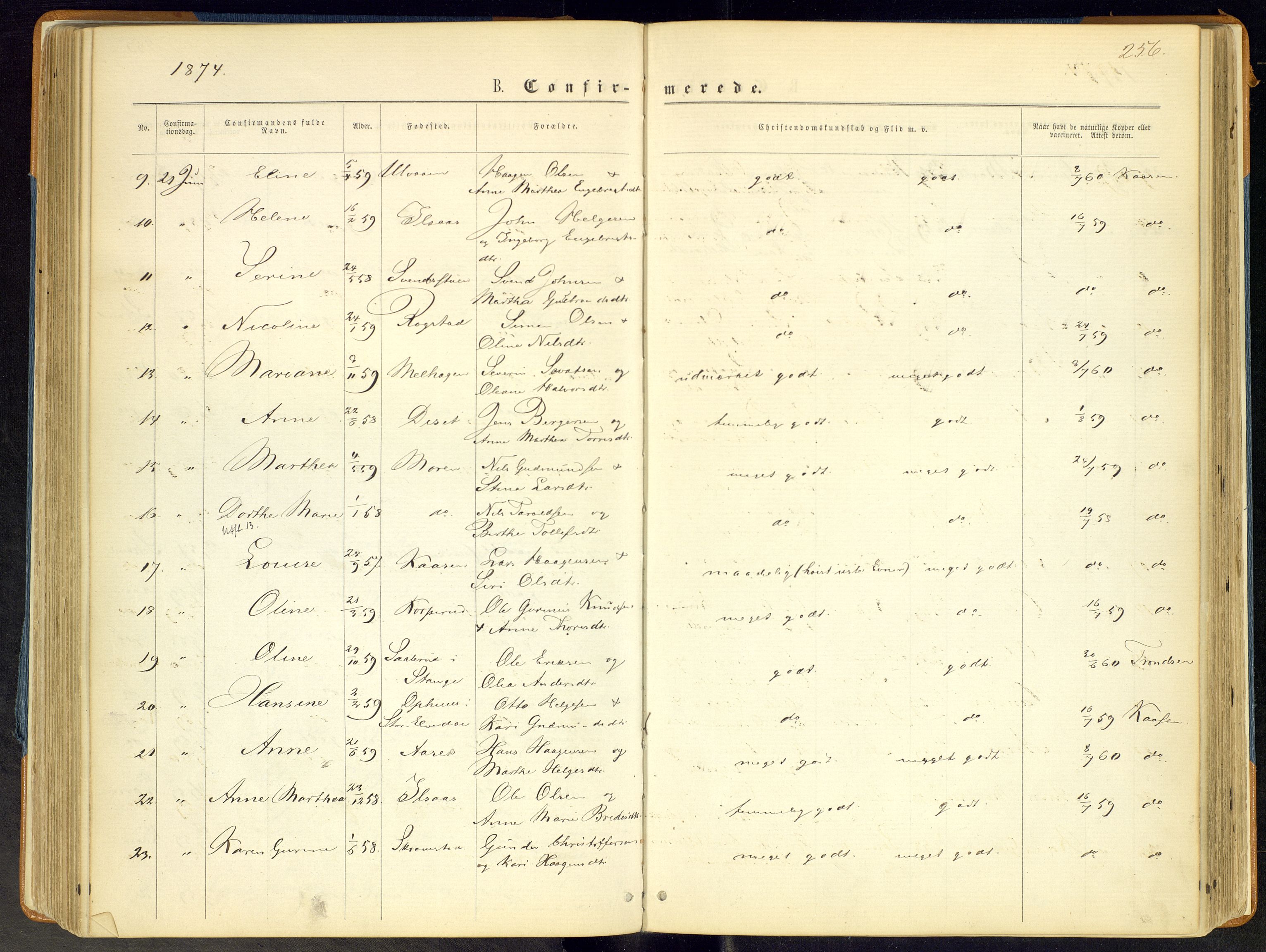 Åmot prestekontor, Hedmark, AV/SAH-PREST-056/H/Ha/Haa/L0008: Parish register (official) no. 8, 1862-1875, p. 256