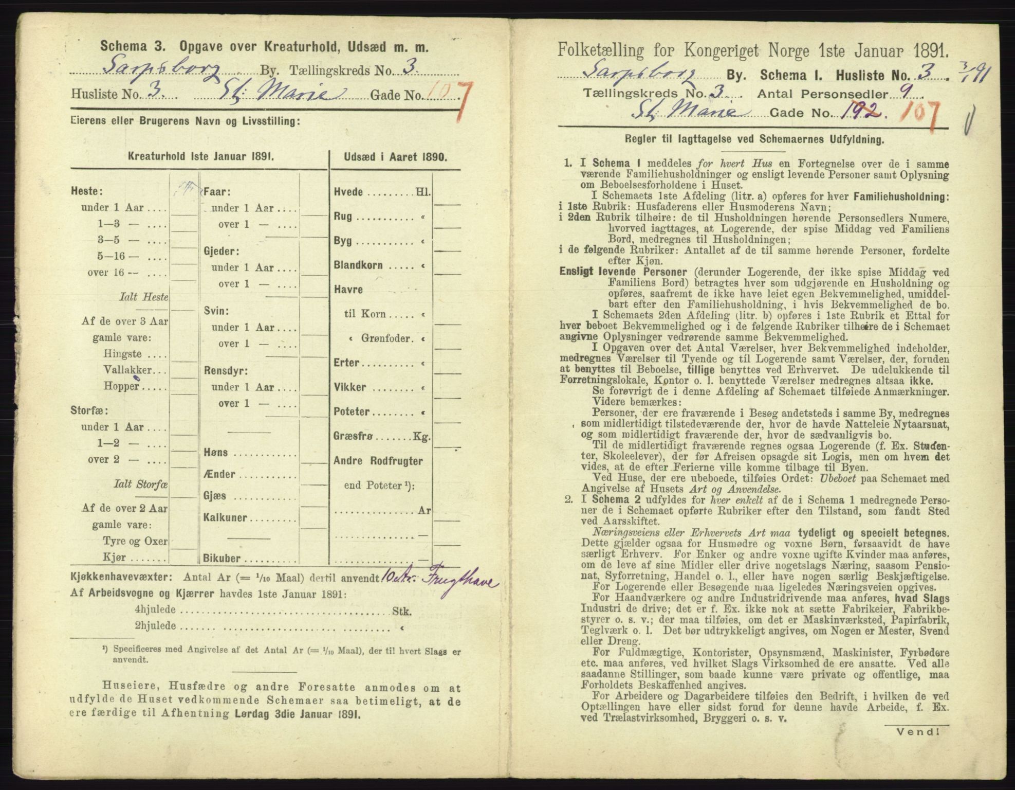 RA, 1891 census for 0102 Sarpsborg, 1891, p. 2194