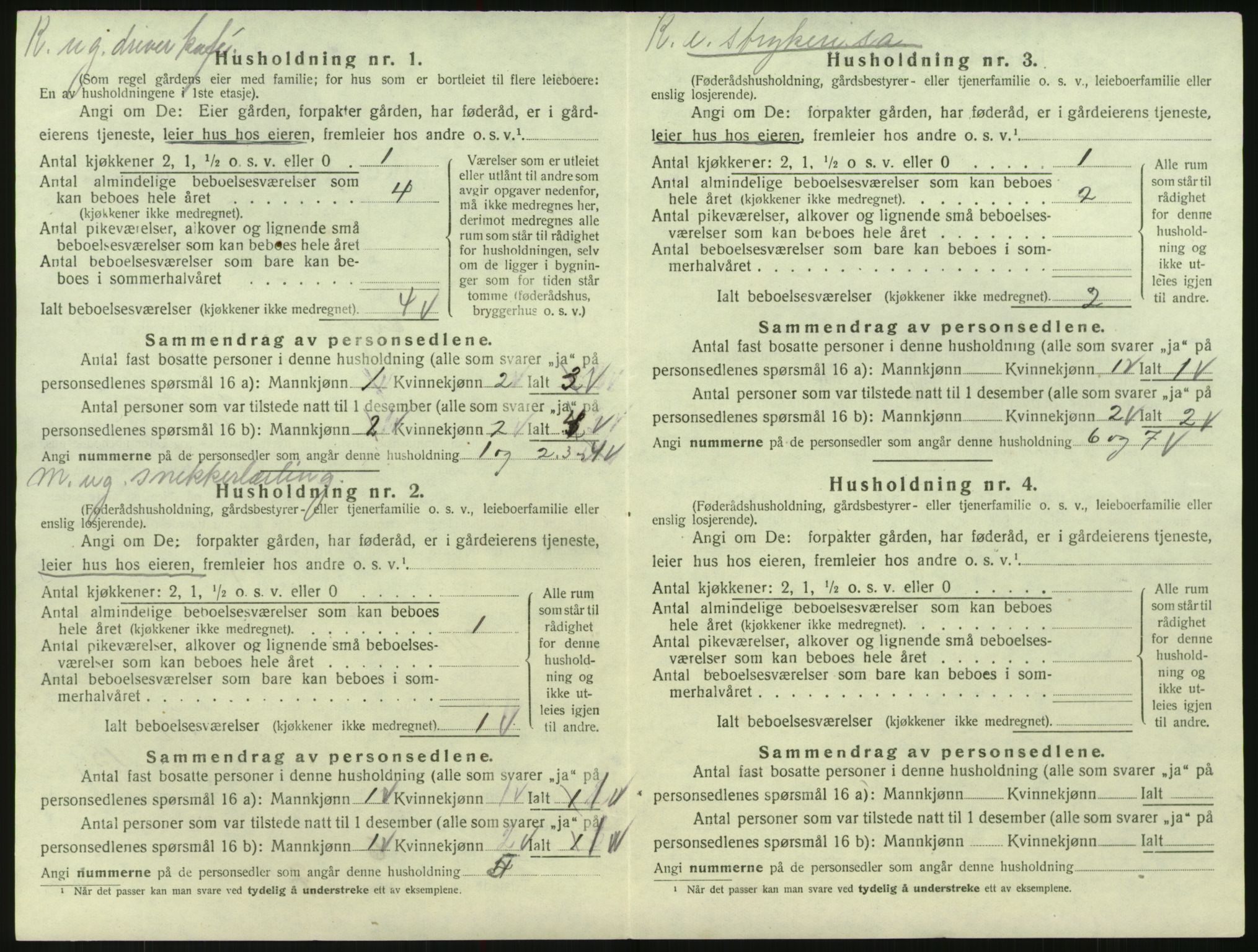 SAK, 1920 census for Evje, 1920, p. 529