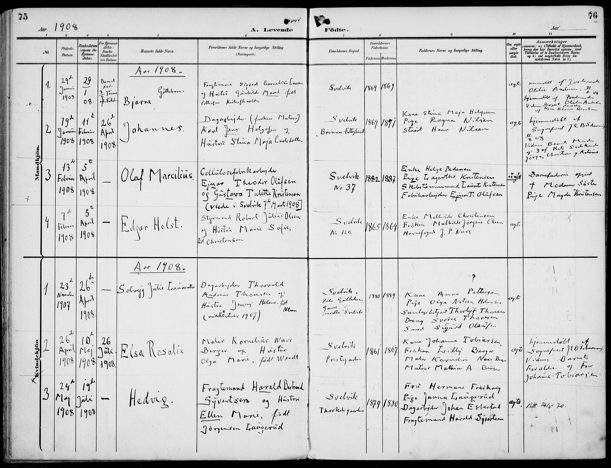 Strømm kirkebøker, AV/SAKO-A-322/F/Fb/L0002: Parish register (official) no. II 2, 1900-1919, p. 75-76