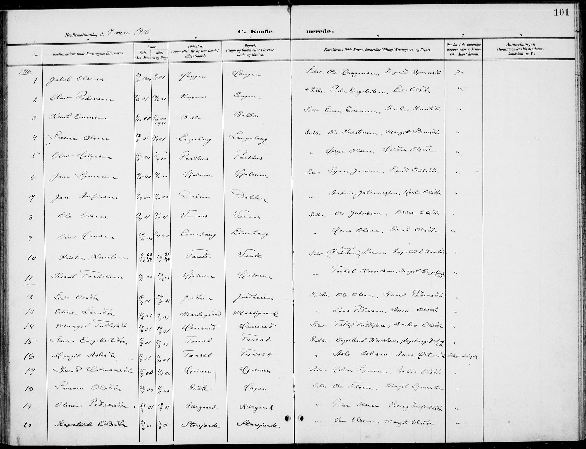 Gol kirkebøker, AV/SAKO-A-226/F/Fb/L0002: Parish register (official) no. II 2, 1900-1921, p. 101