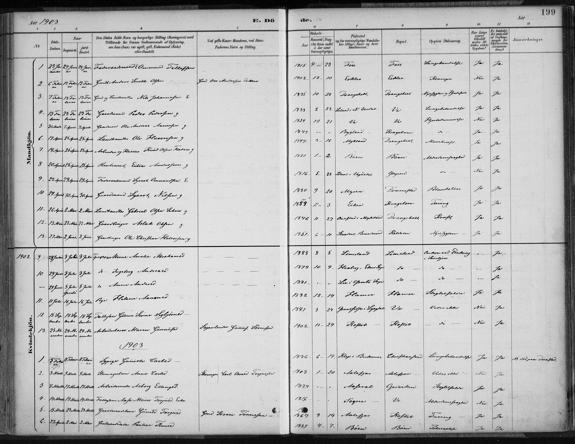 Tveit sokneprestkontor, AV/SAK-1111-0043/F/Fa/L0007: Parish register (official) no. A 7, 1887-1908, p. 199