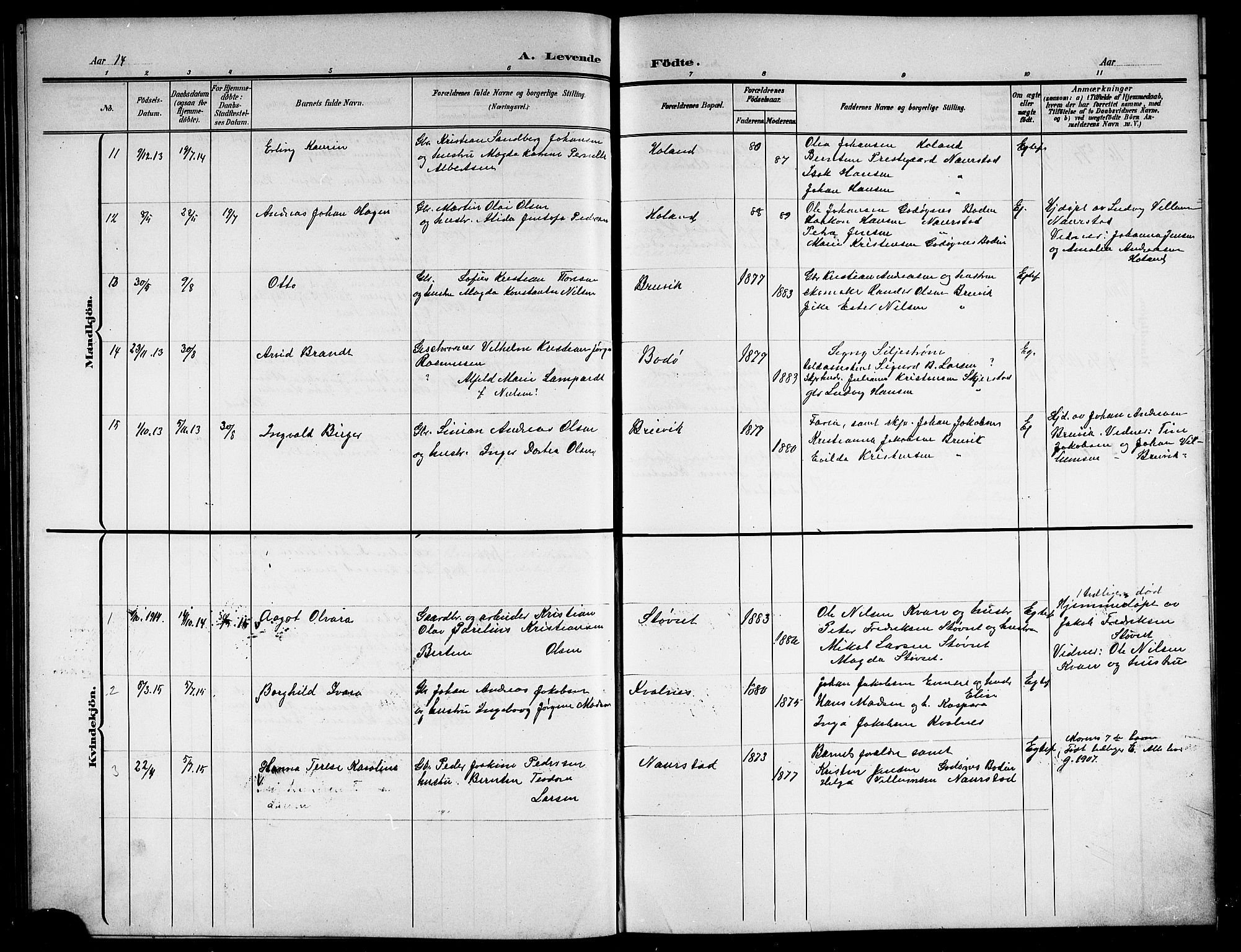 Ministerialprotokoller, klokkerbøker og fødselsregistre - Nordland, AV/SAT-A-1459/852/L0756: Parish register (copy) no. 852C07, 1902-1916