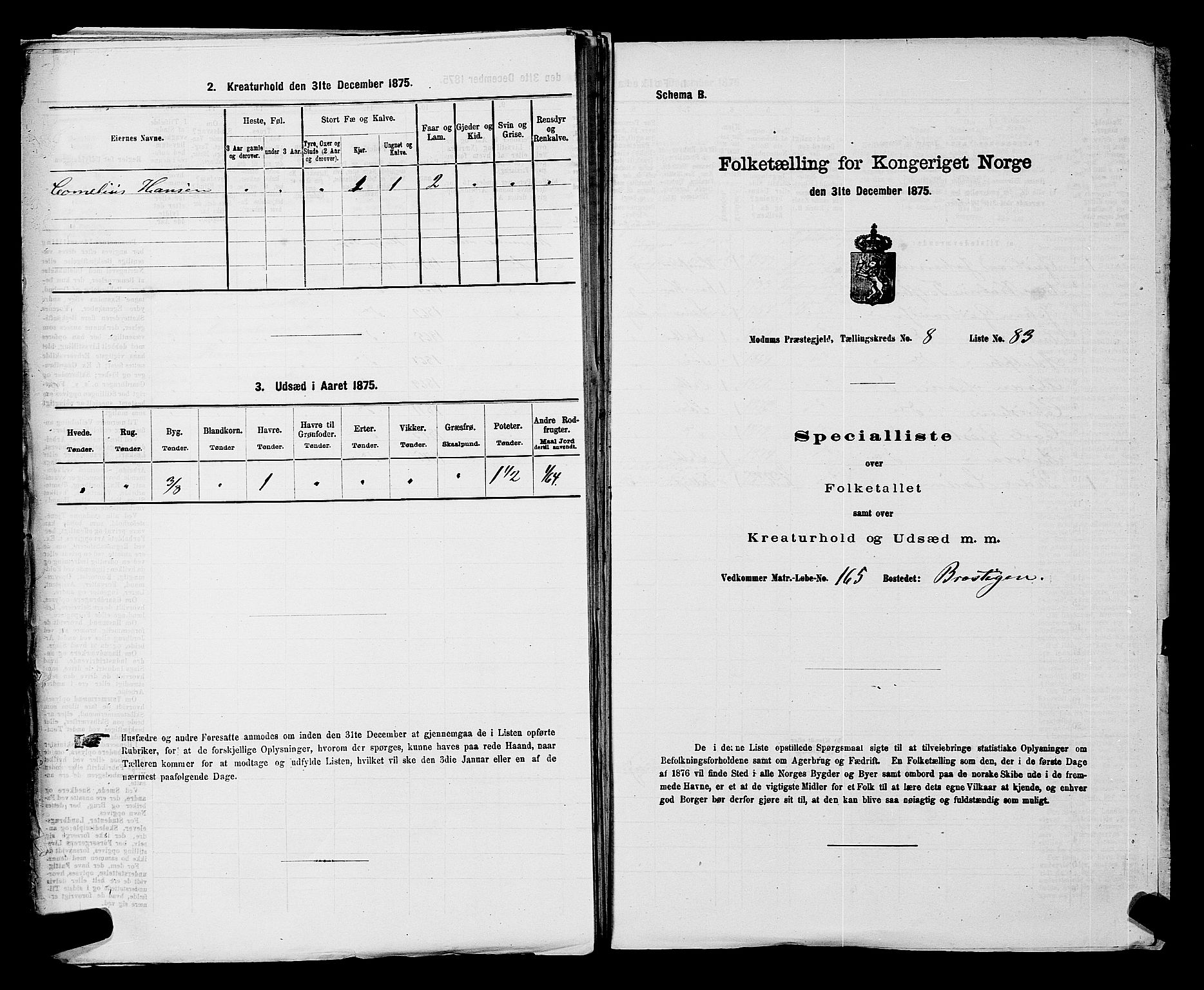 SAKO, 1875 census for 0623P Modum, 1875, p. 1036