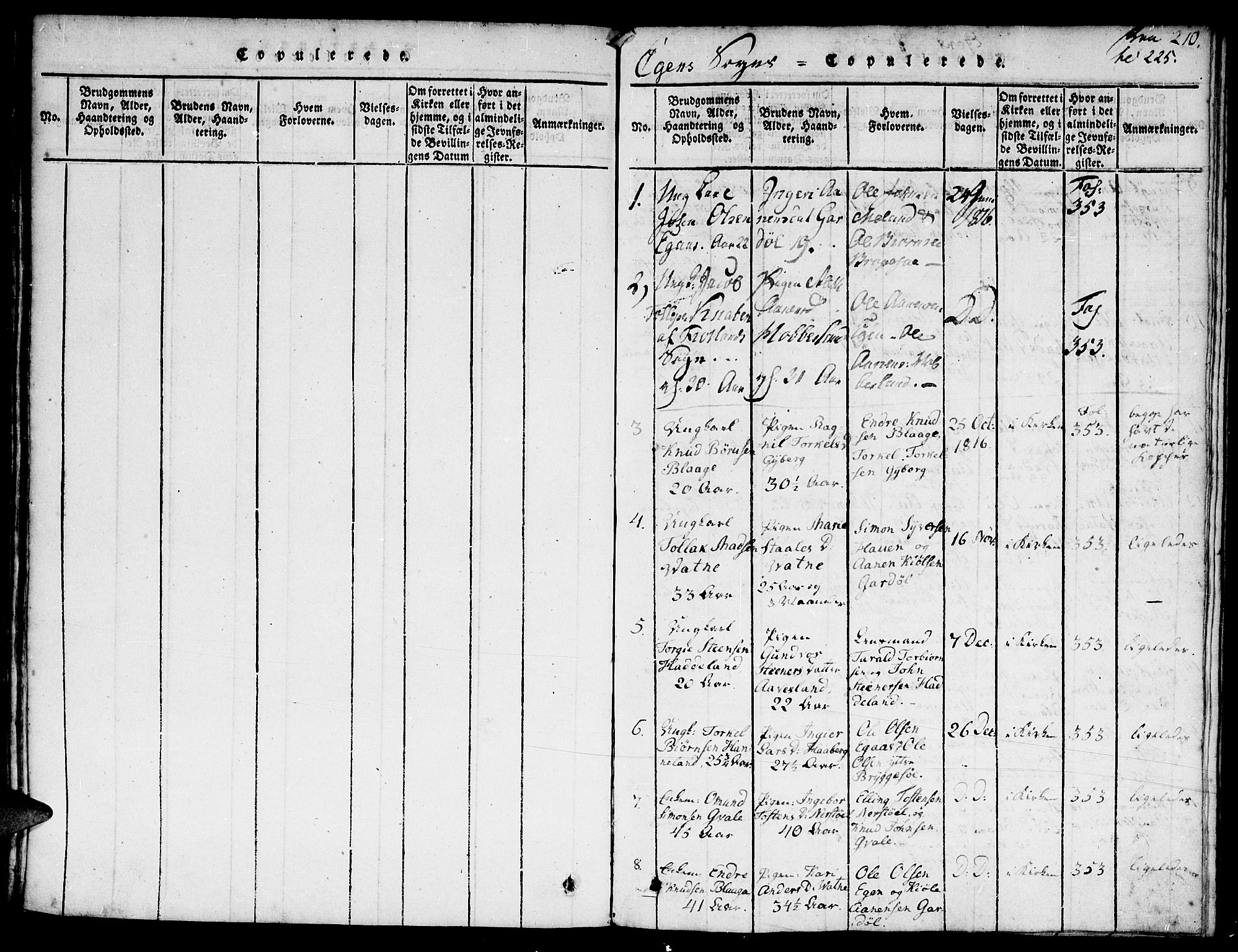 Hægebostad sokneprestkontor, SAK/1111-0024/F/Fa/Faa/L0002: Parish register (official) no. A 2 /2, 1816-1824, p. 210