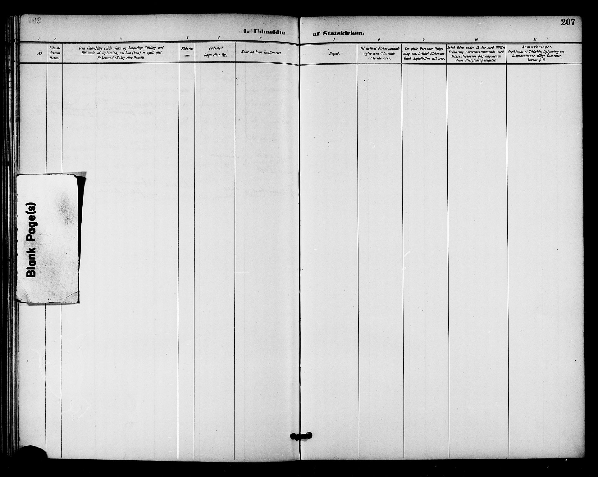 Ministerialprotokoller, klokkerbøker og fødselsregistre - Nordland, AV/SAT-A-1459/893/L1338: Parish register (official) no. 893A10, 1894-1903, p. 207