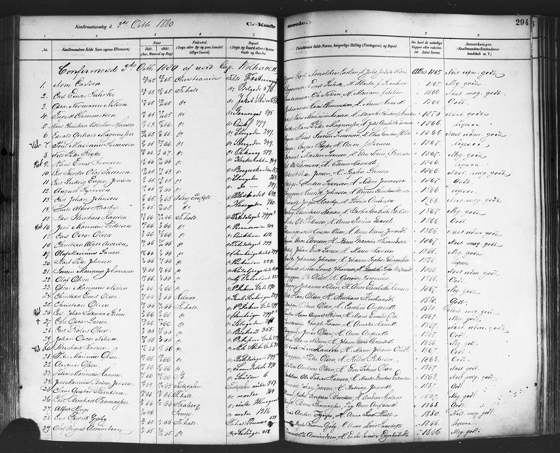 Halden prestekontor Kirkebøker, SAO/A-10909/F/Fa/L0011: Parish register (official) no. I 11, 1878-1889, p. 294