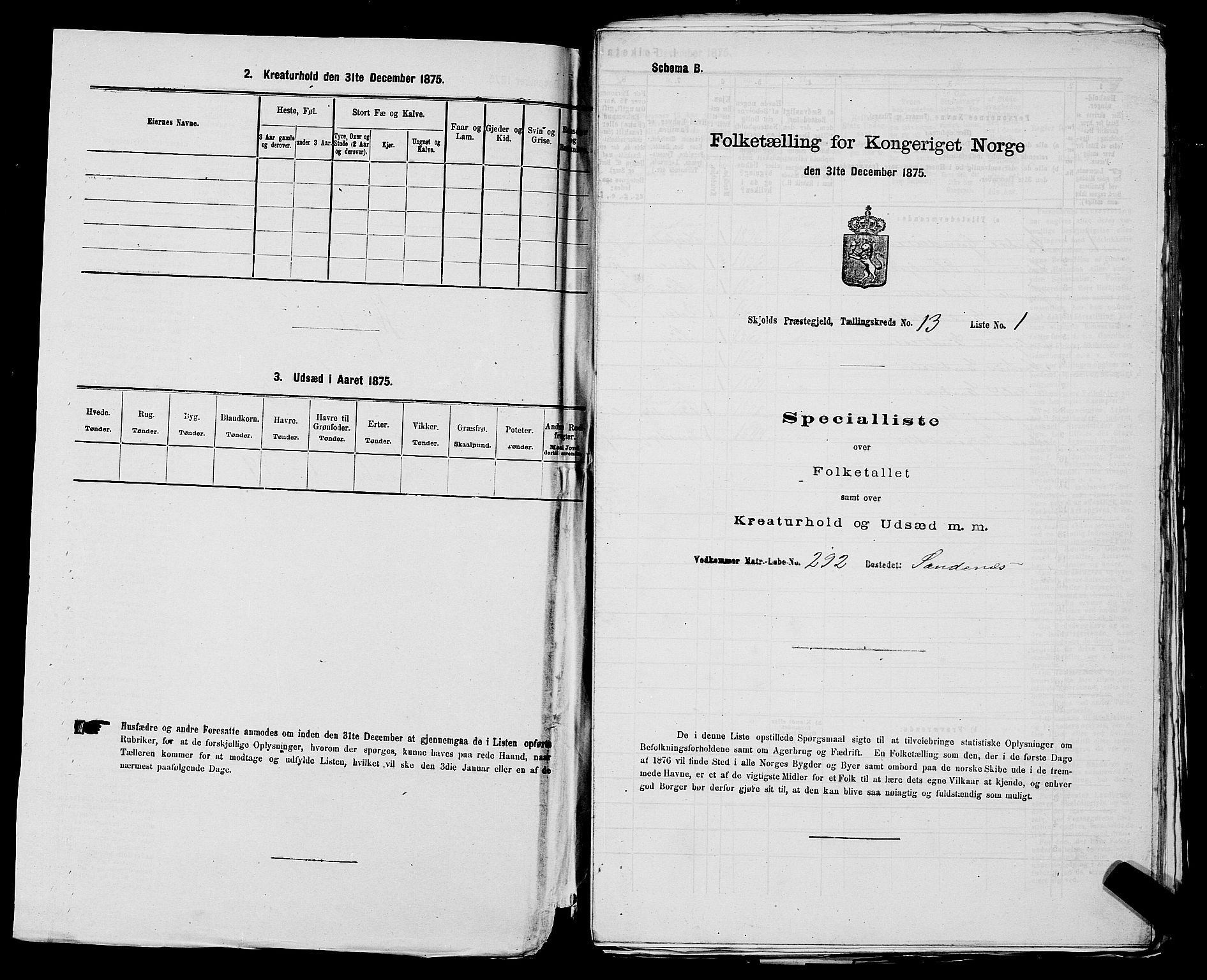 SAST, 1875 census for 1154P Skjold, 1875, p. 1316