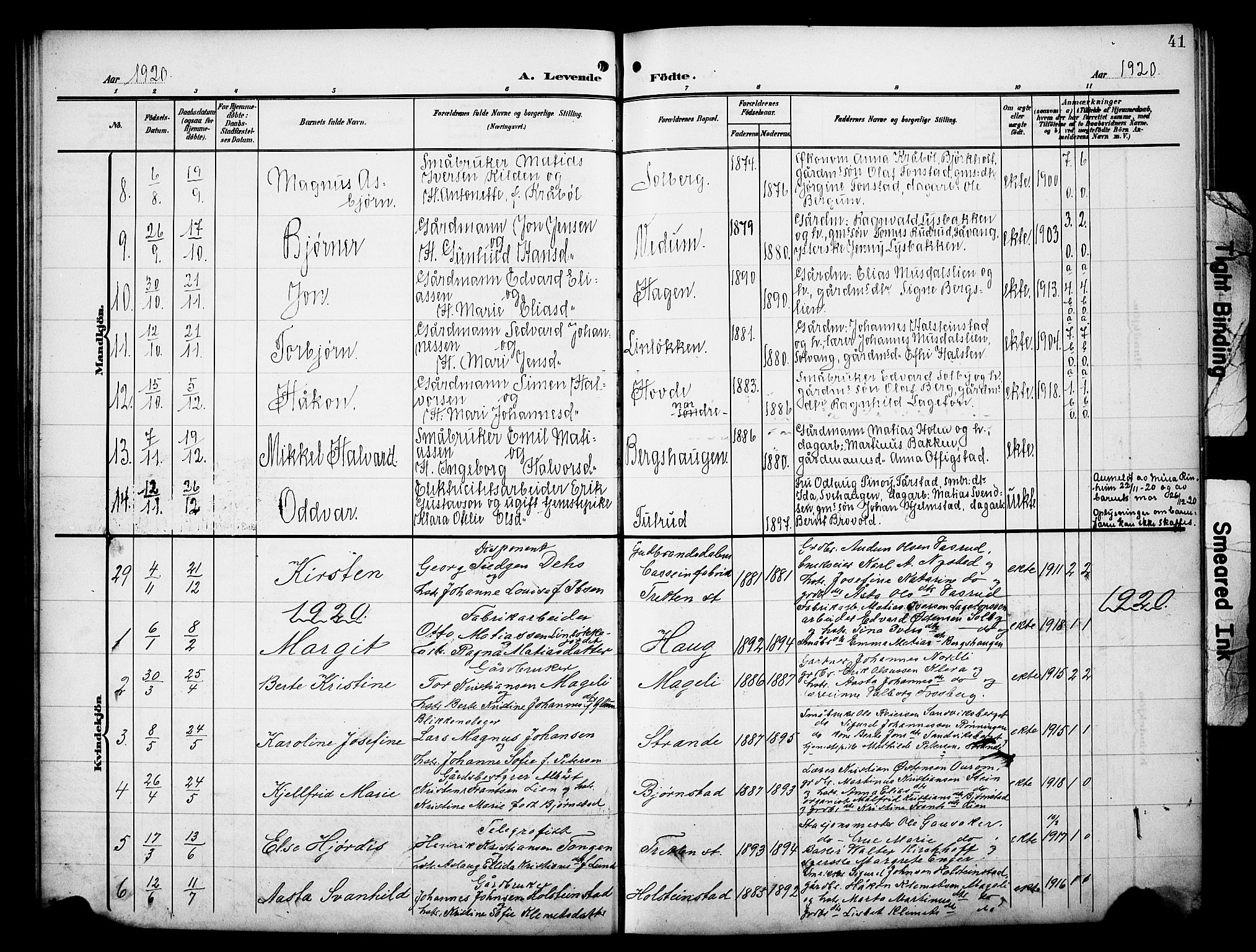 Øyer prestekontor, AV/SAH-PREST-084/H/Ha/Hab/L0006: Parish register (copy) no. 6, 1906-1929, p. 41