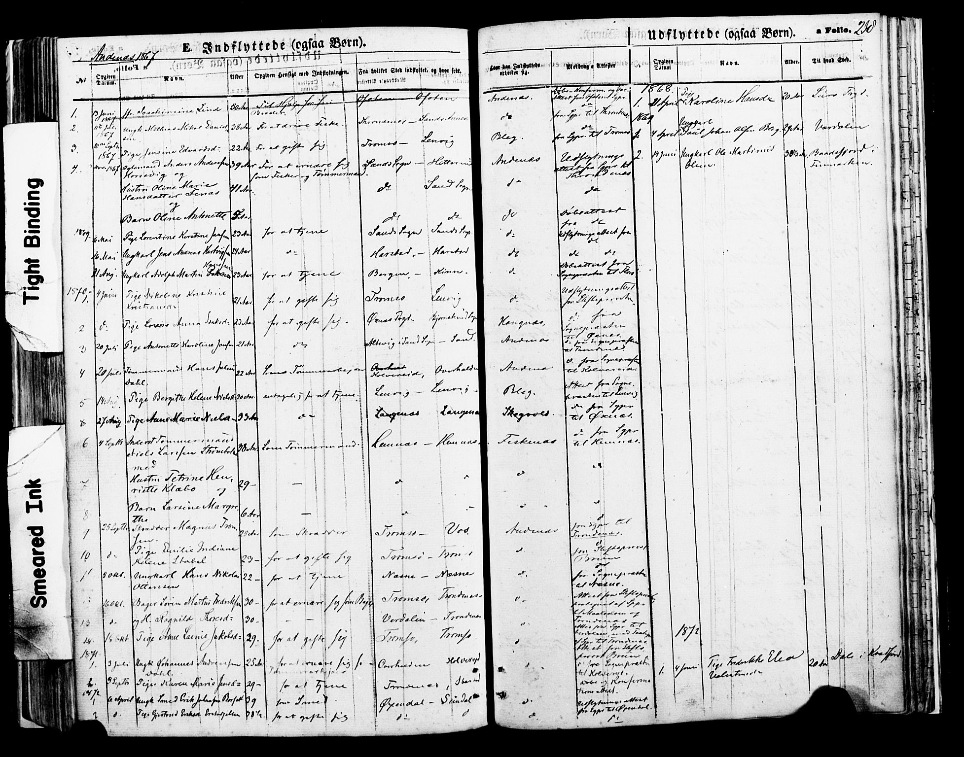 Ministerialprotokoller, klokkerbøker og fødselsregistre - Nordland, AV/SAT-A-1459/897/L1398: Parish register (official) no. 897A05 /2, 1867-1880, p. 238