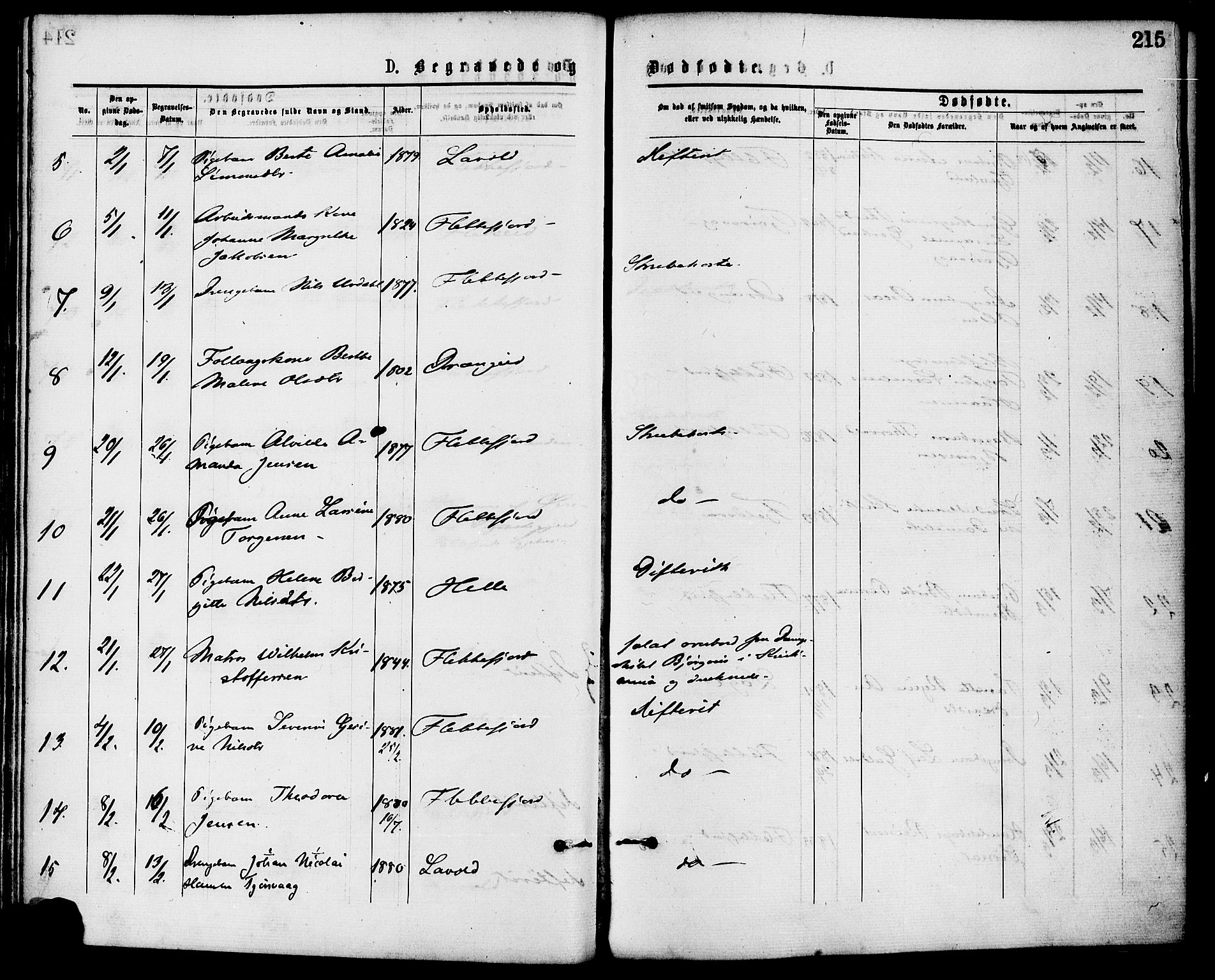 Flekkefjord sokneprestkontor, SAK/1111-0012/F/Fa/Fac/L0007: Parish register (official) no. A 7, 1875-1885, p. 215