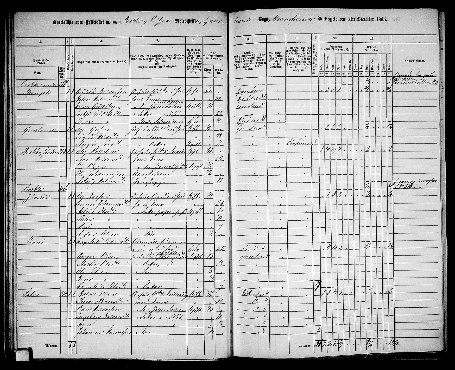 RA, 1865 census for Gransherad, 1865, p. 29