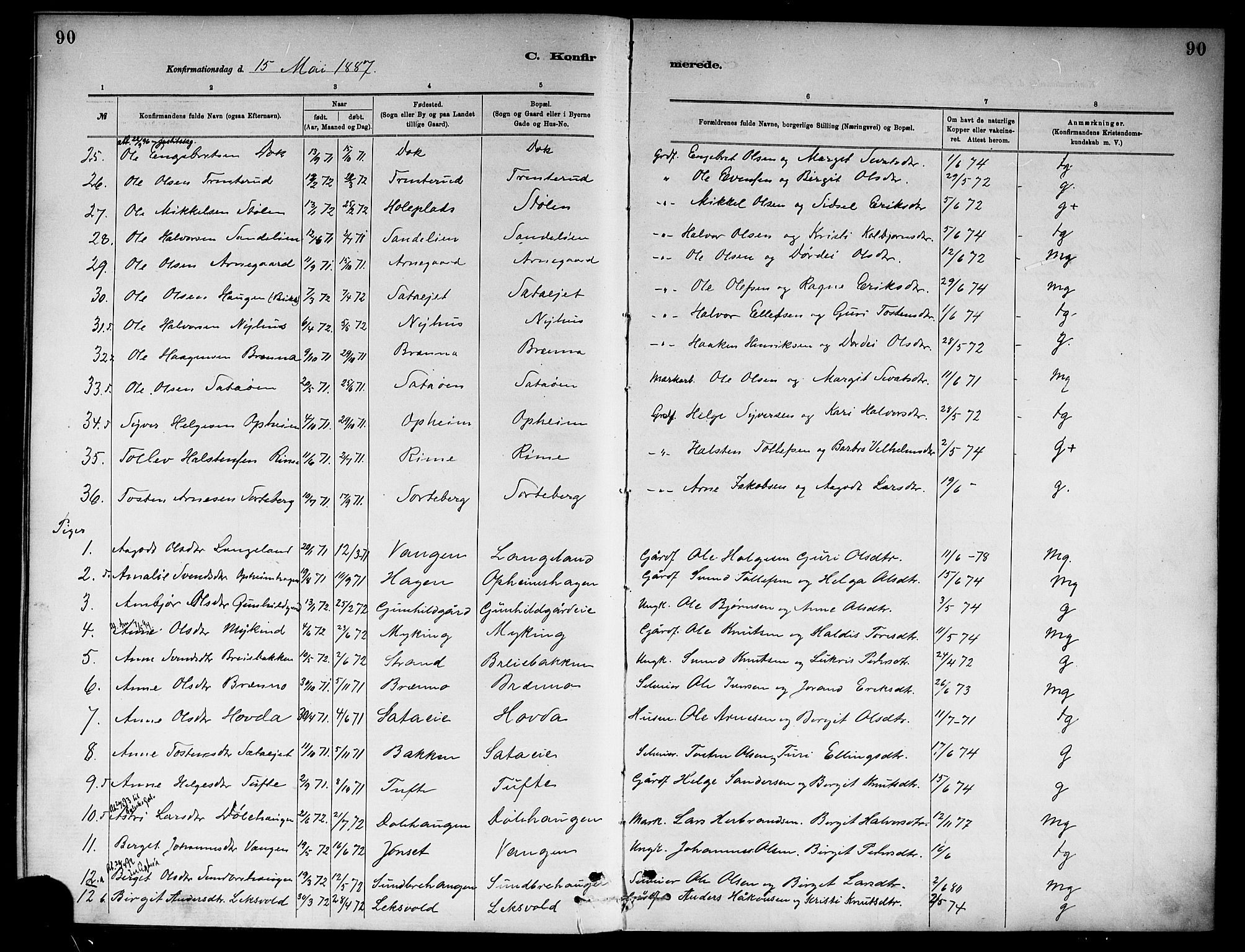 Ål kirkebøker, SAKO/A-249/F/Fa/L0008: Parish register (official) no. I 8, 1882-1896, p. 90