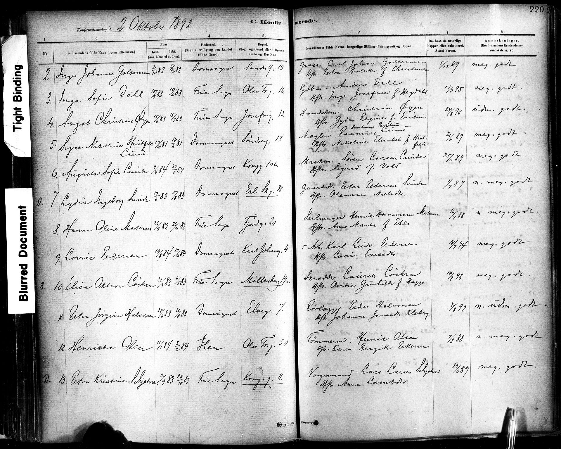 Ministerialprotokoller, klokkerbøker og fødselsregistre - Sør-Trøndelag, SAT/A-1456/602/L0119: Parish register (official) no. 602A17, 1880-1901, p. 220