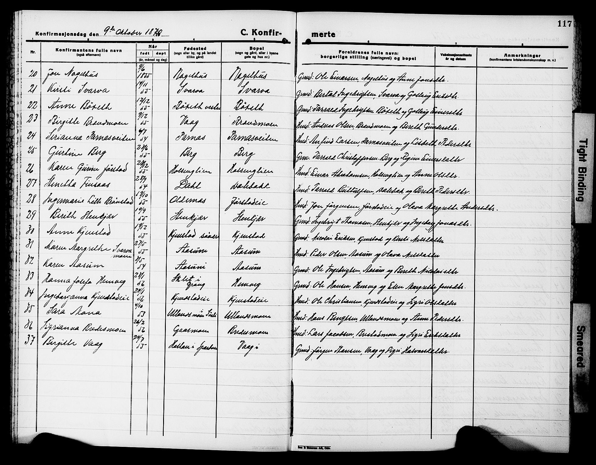 Ministerialprotokoller, klokkerbøker og fødselsregistre - Nord-Trøndelag, SAT/A-1458/749/L0485: Parish register (official) no. 749D01, 1857-1872, p. 117