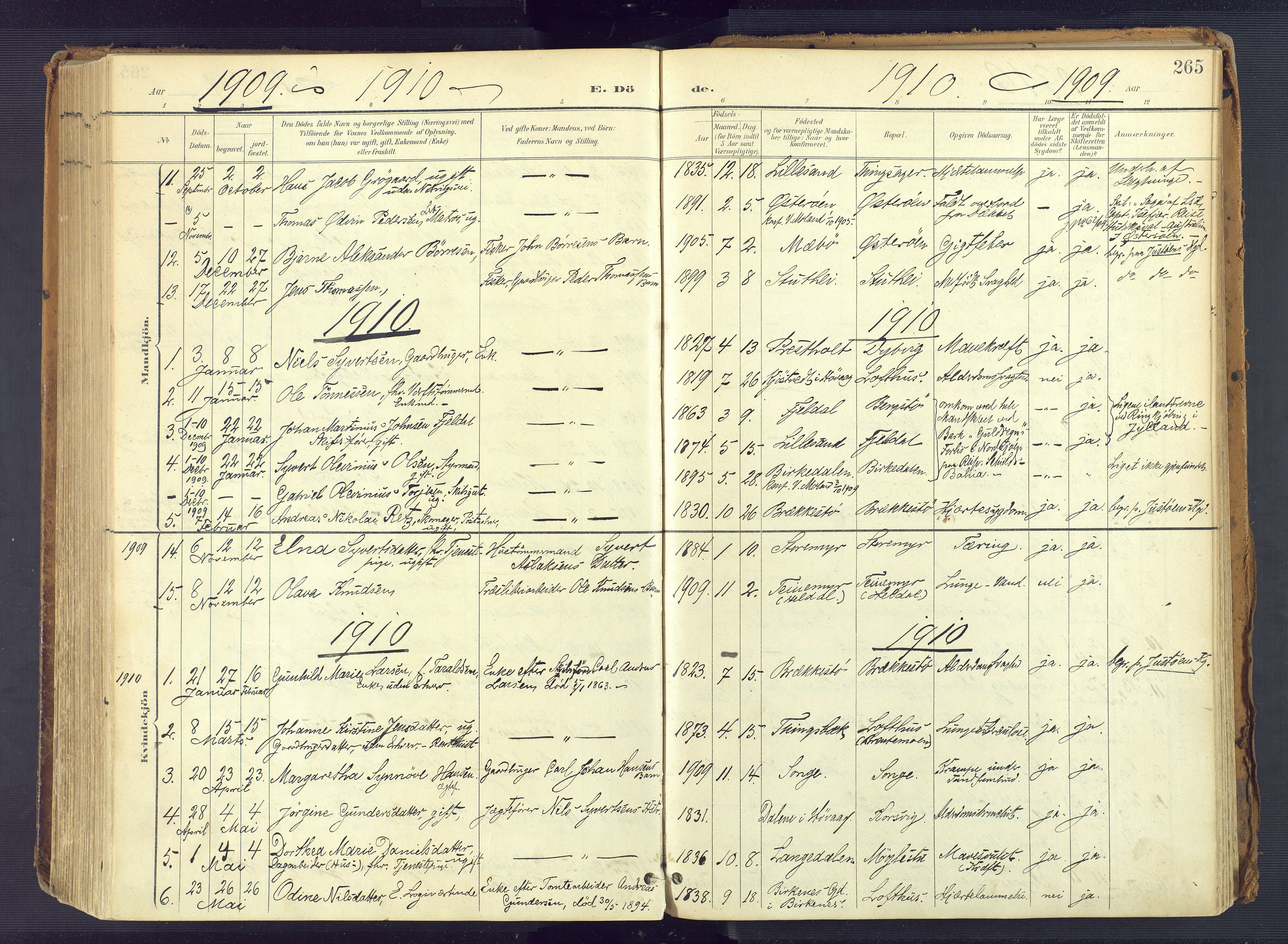 Vestre Moland sokneprestkontor, SAK/1111-0046/F/Fa/Fab/L0010: Parish register (official) no. A 10, 1900-1926, p. 265